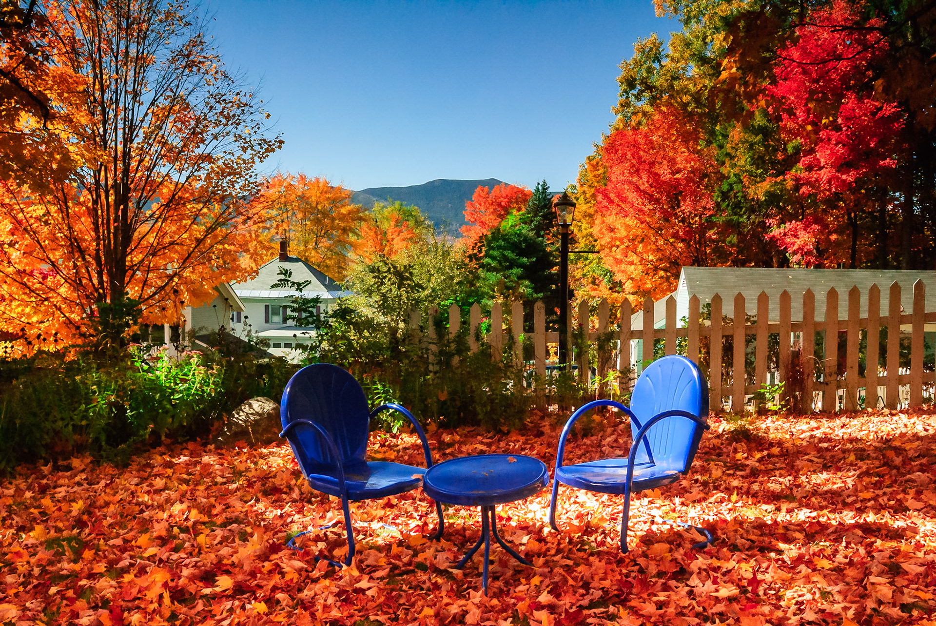 DTGD00849 Fall Colors