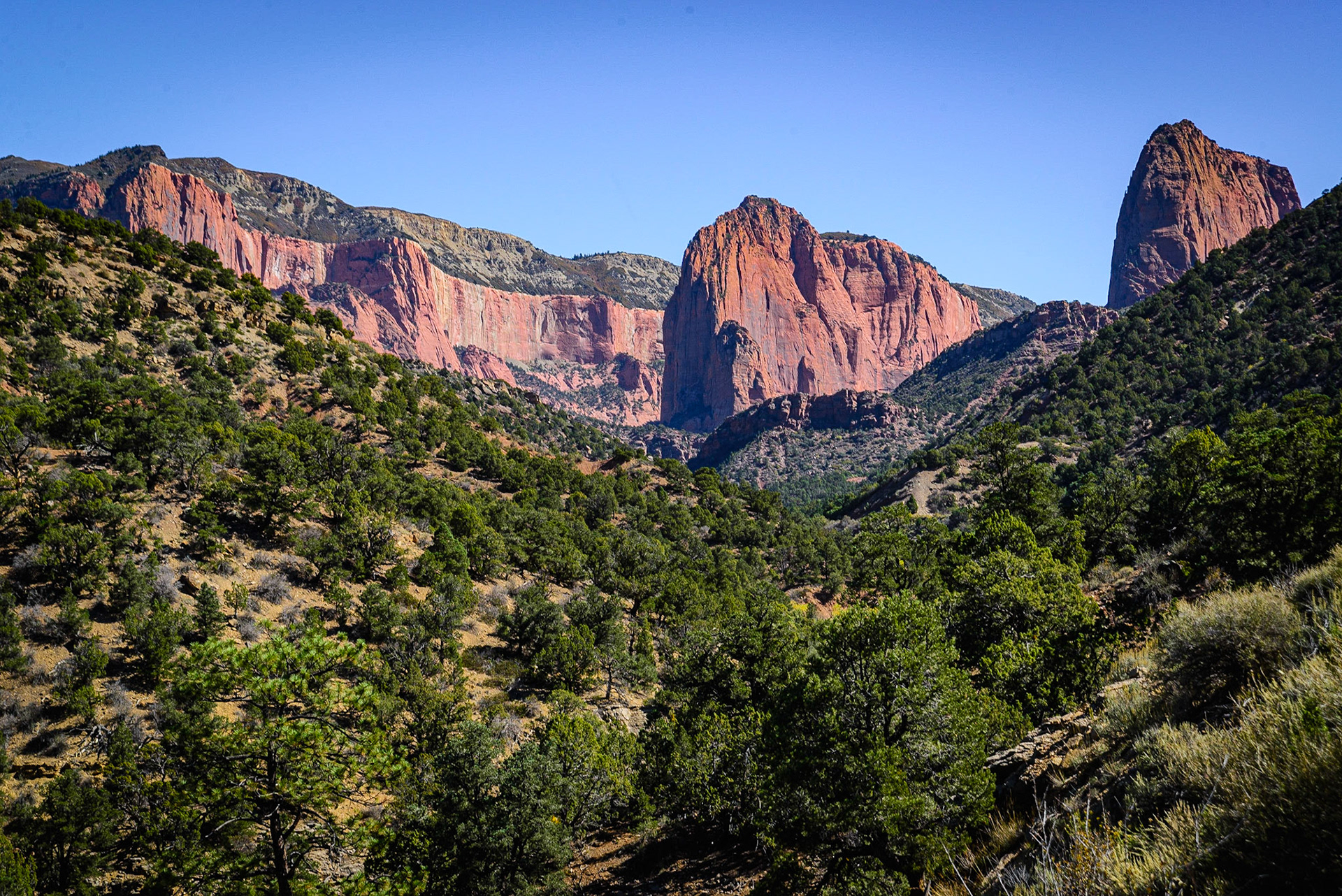 DTGD22323 Kolob Canyon in Zion nat'l Park.