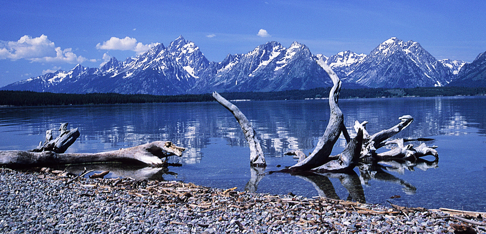 DTG06781 Jackson Lake Tetons Cropped.