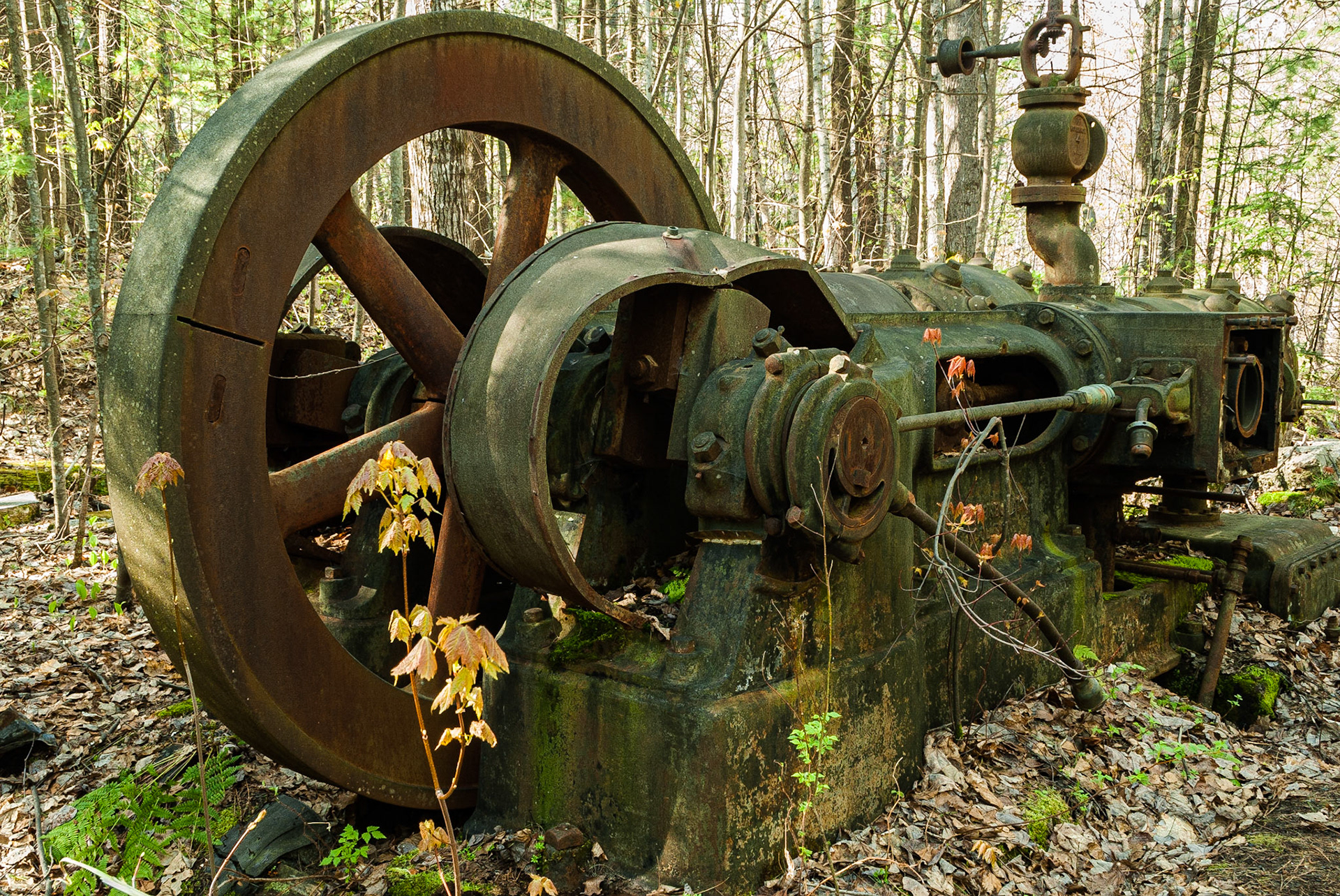 Ol Compressor