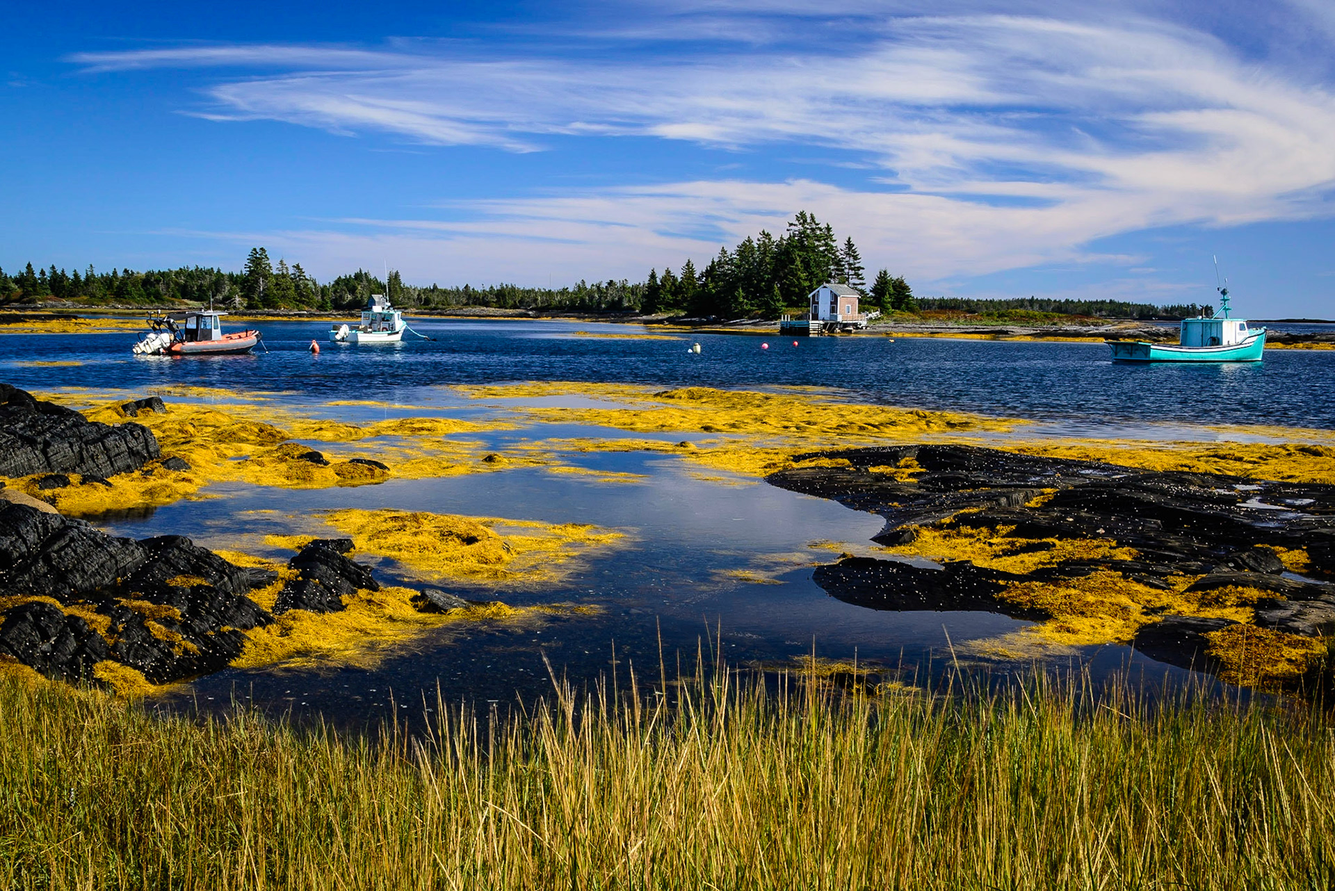 DTGD24846-Blue Rocks, NS