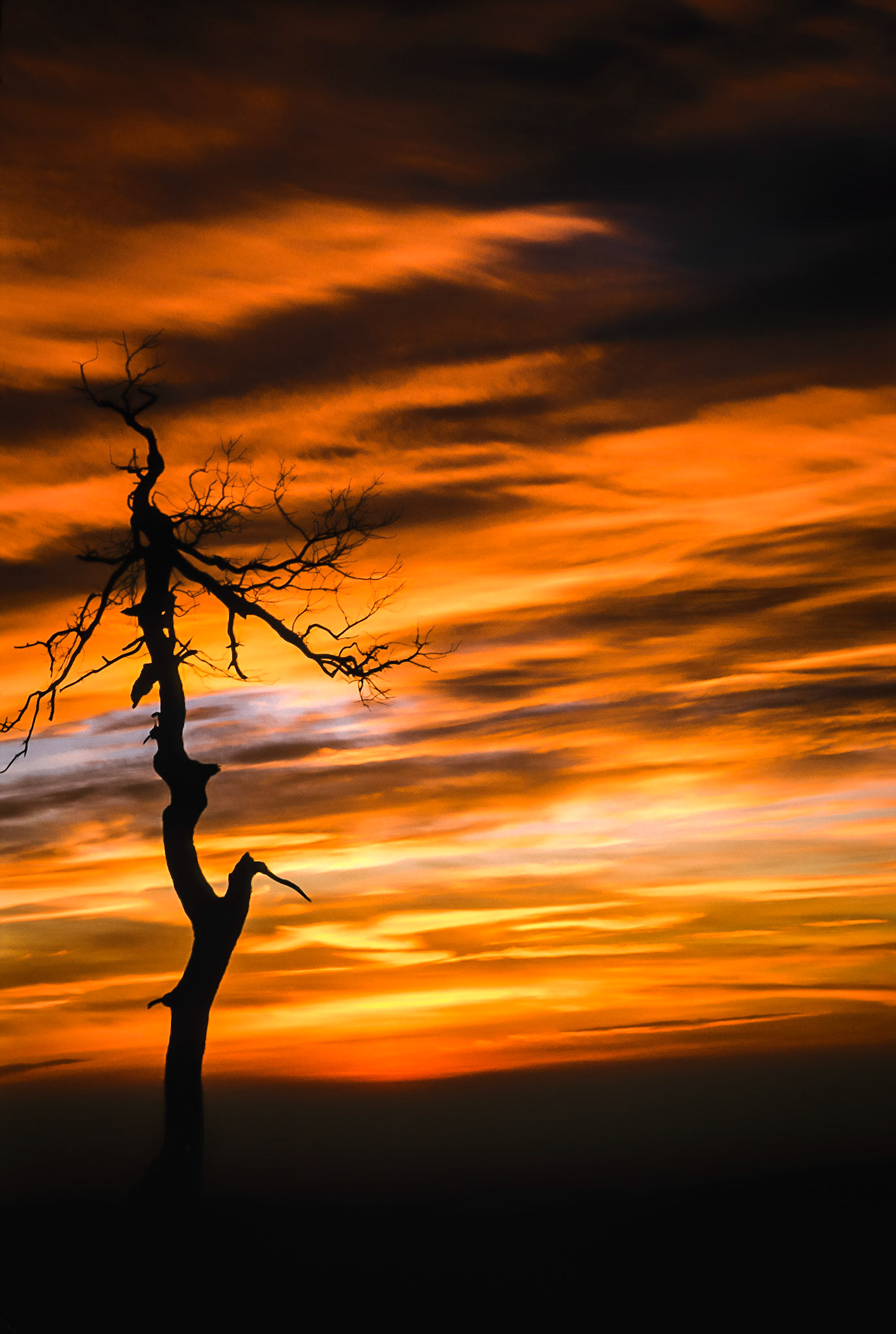 DTG00049 Sunrise in Shenandoah