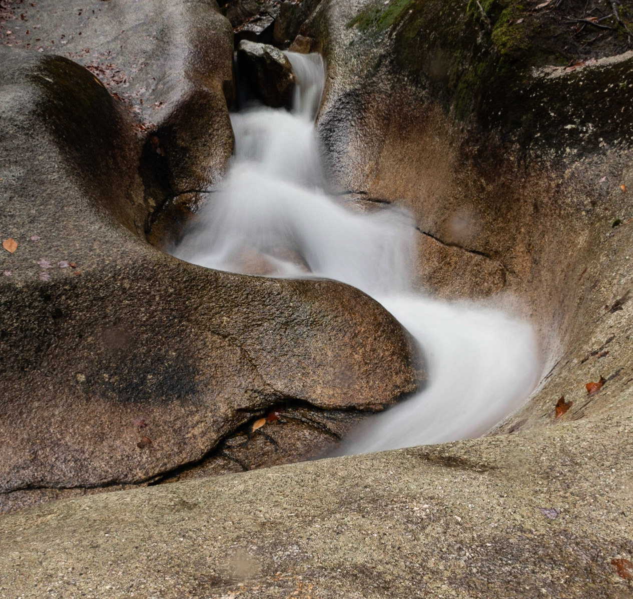 DTGD35007. The Basin