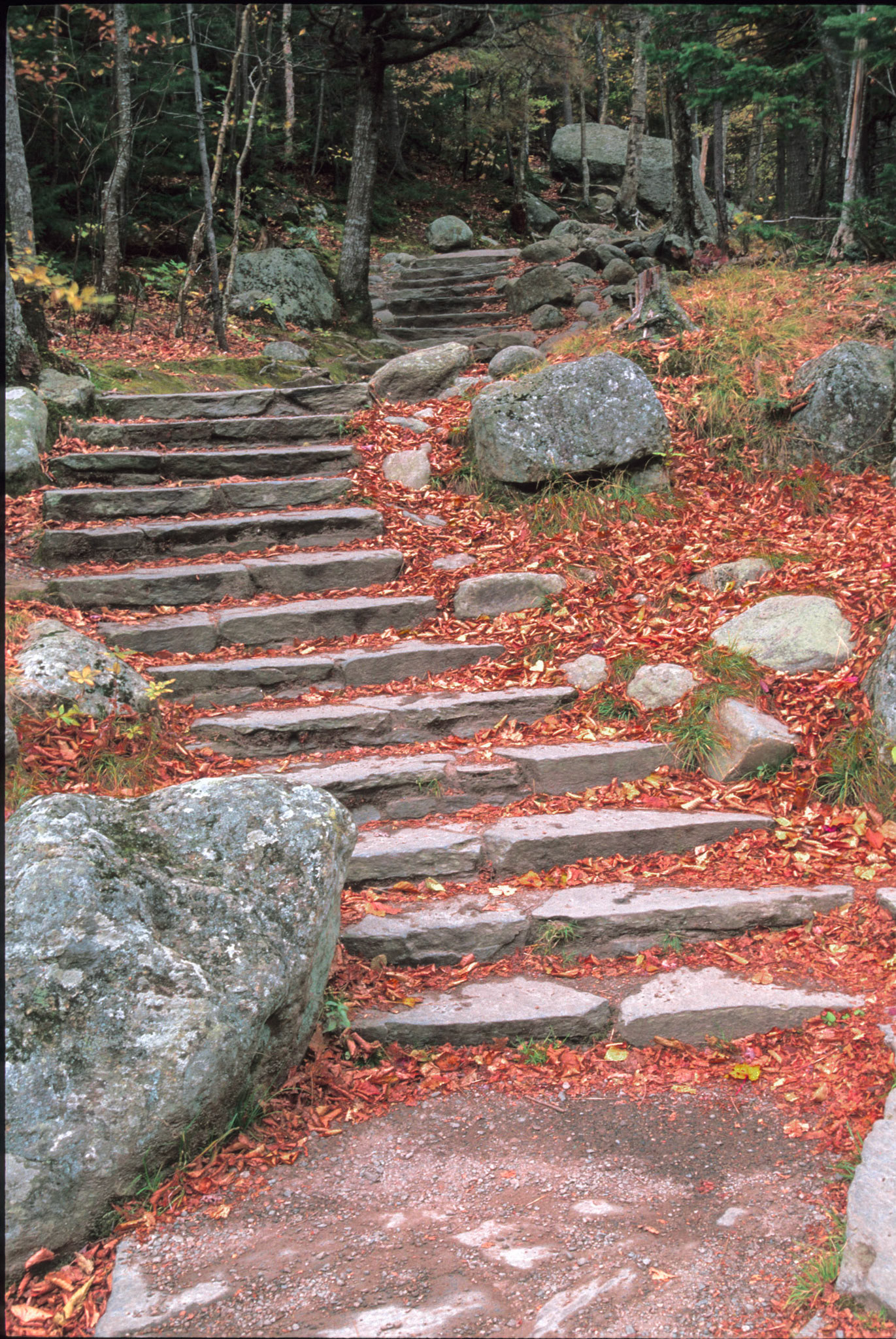 DTG00155 Glen Ellis Falls Path