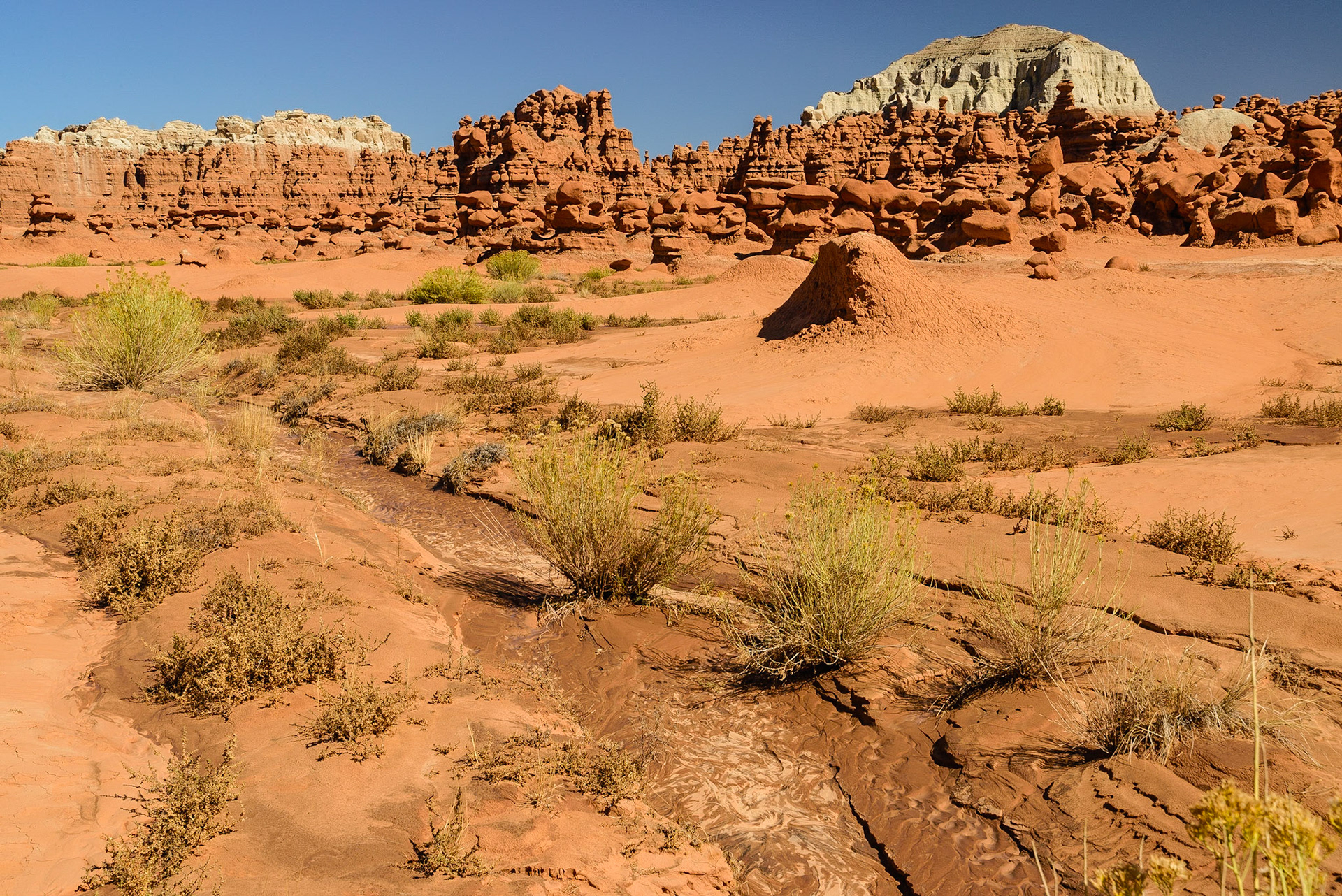 DTGD21862 The fascinating hoodos of of Gobblin State Park.