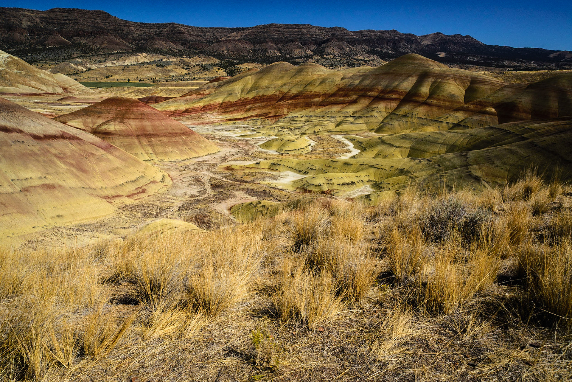 DTGD21300 The Painted Hills, Wheeler County OR.