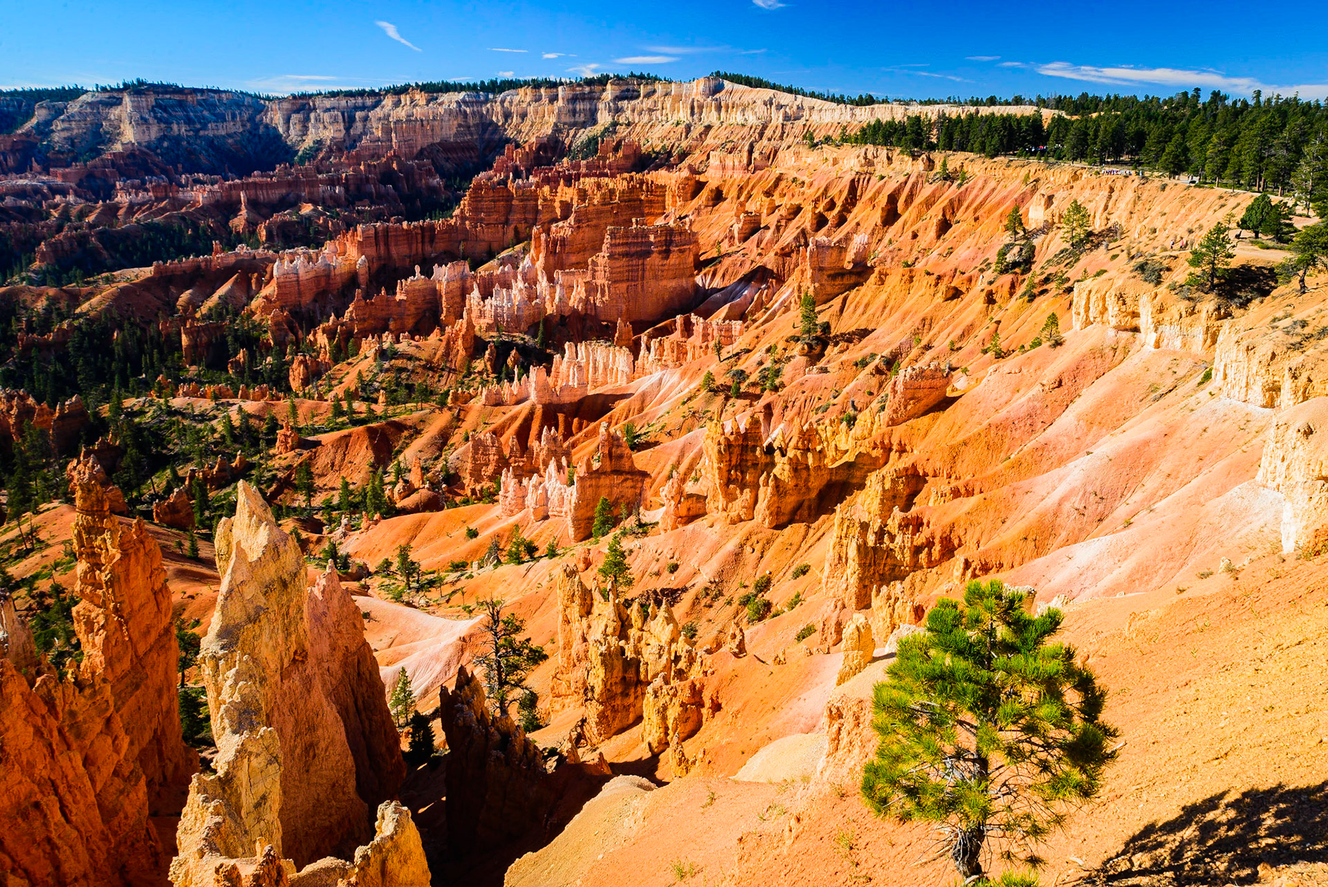 DTGD22120 Looking easterly toward Sunrise Point from the rim Trail in Bryce.