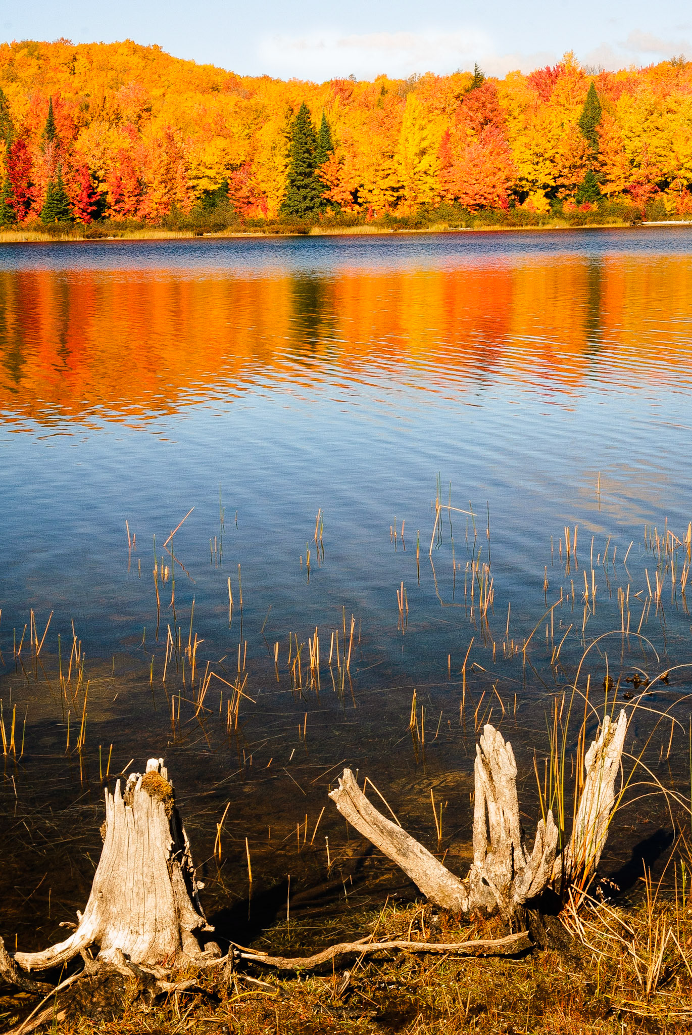 DTGD12684 Fall Reflections, MI