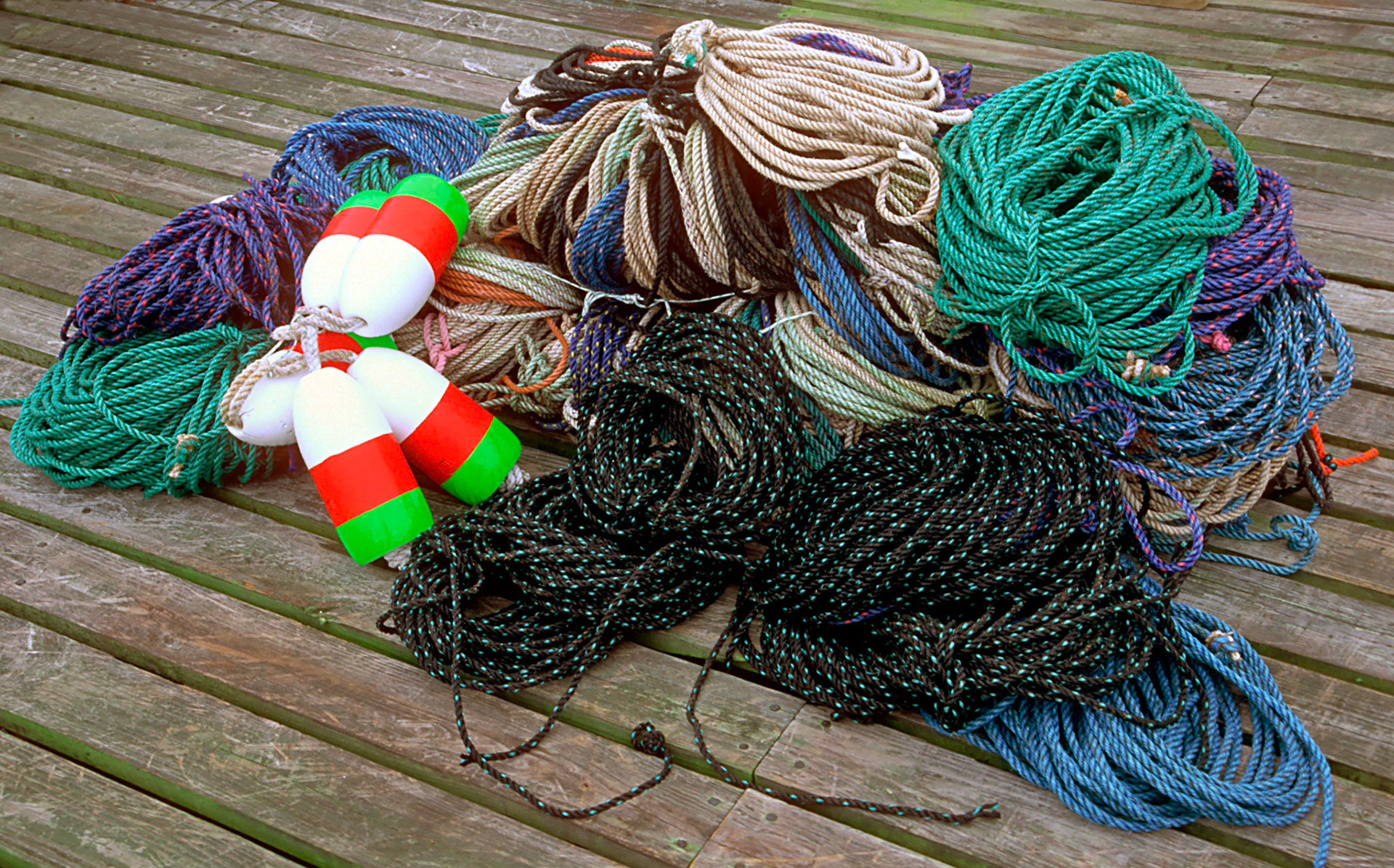 DTG00075 Lobster Men's Ropes 3