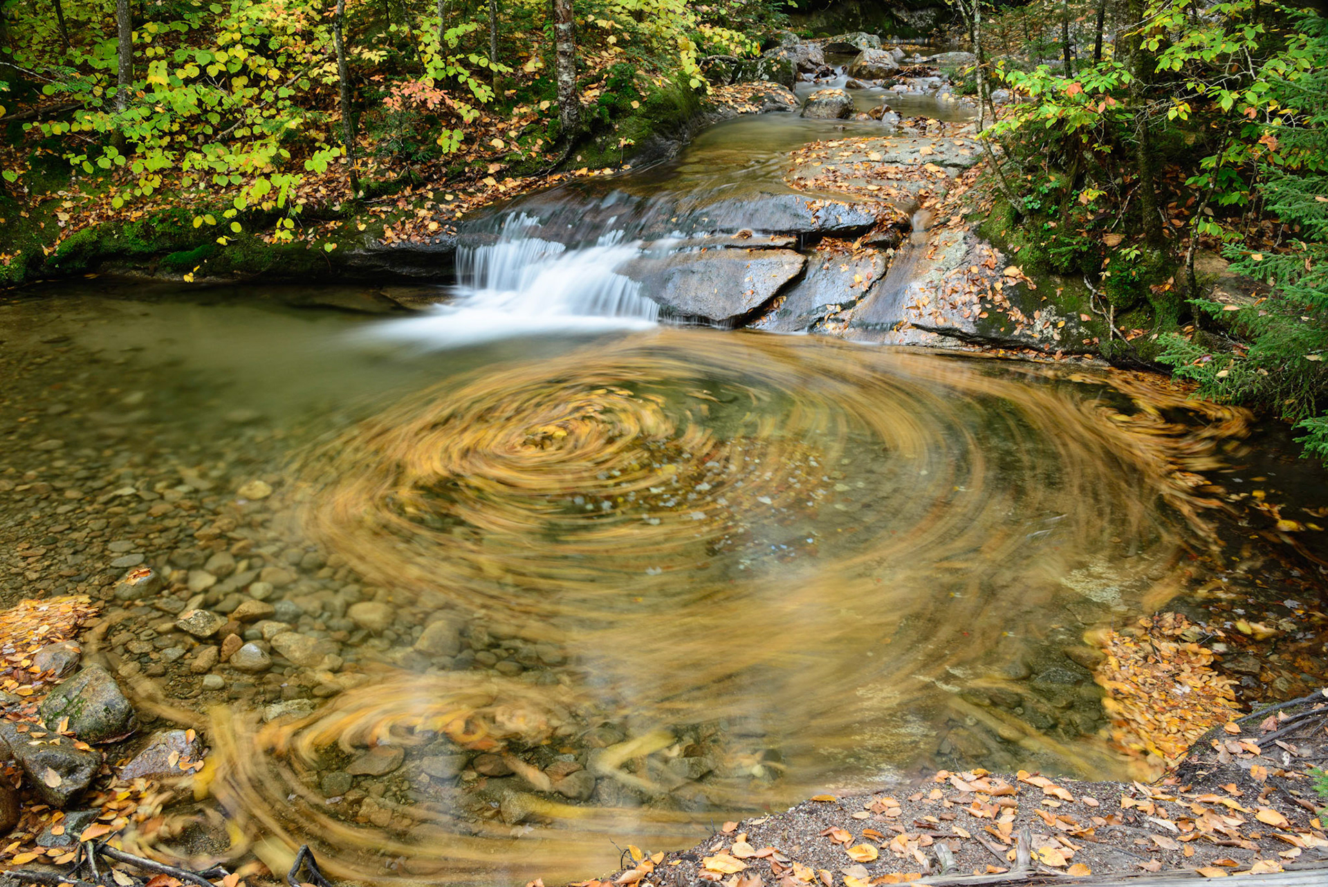 DTGD29781 Pemigewasset River