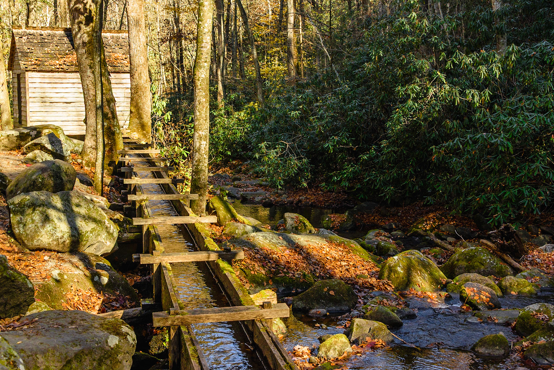 DTGD25353 Reagan Tub Mill