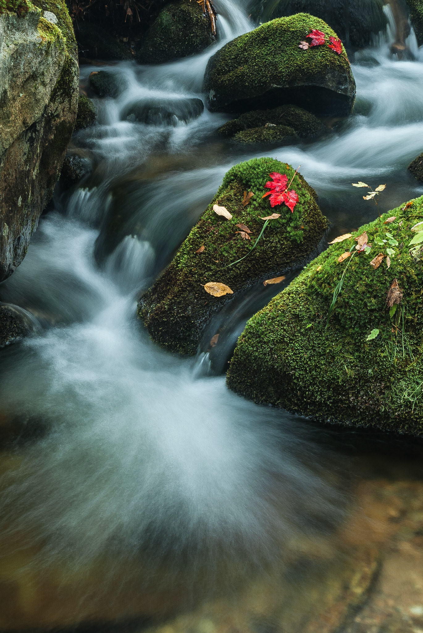 DTGD06344 Fall Brook, Crawford Notch, NH