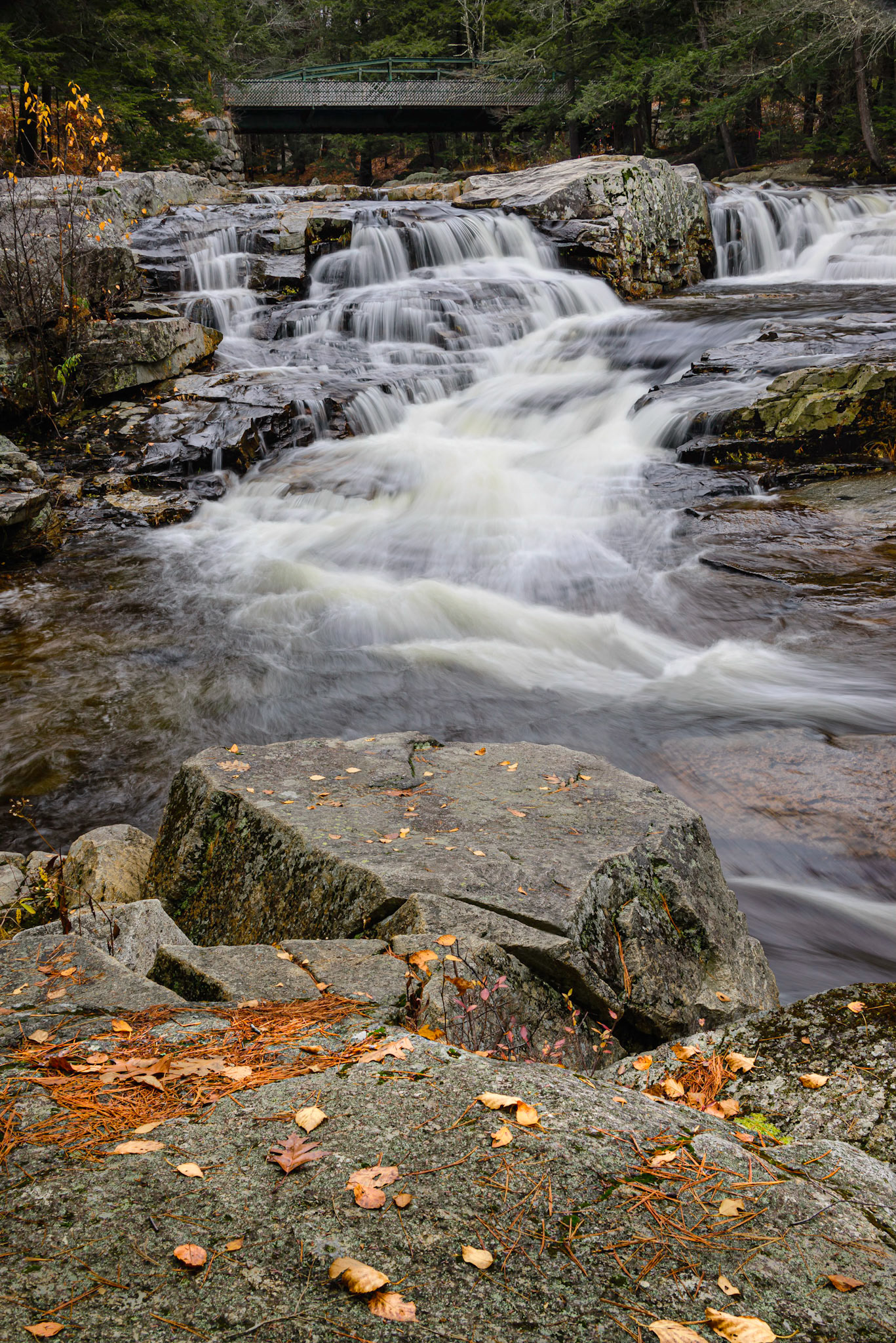 DTGD32123 Jackson Falls