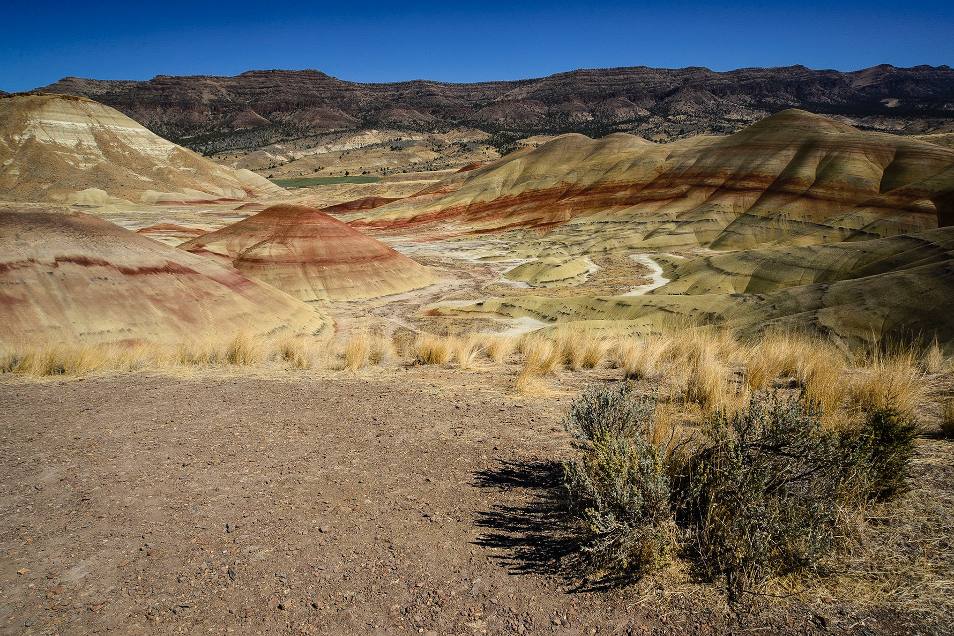 DTGD21301 The Painted Hills, Wheeler County OR.