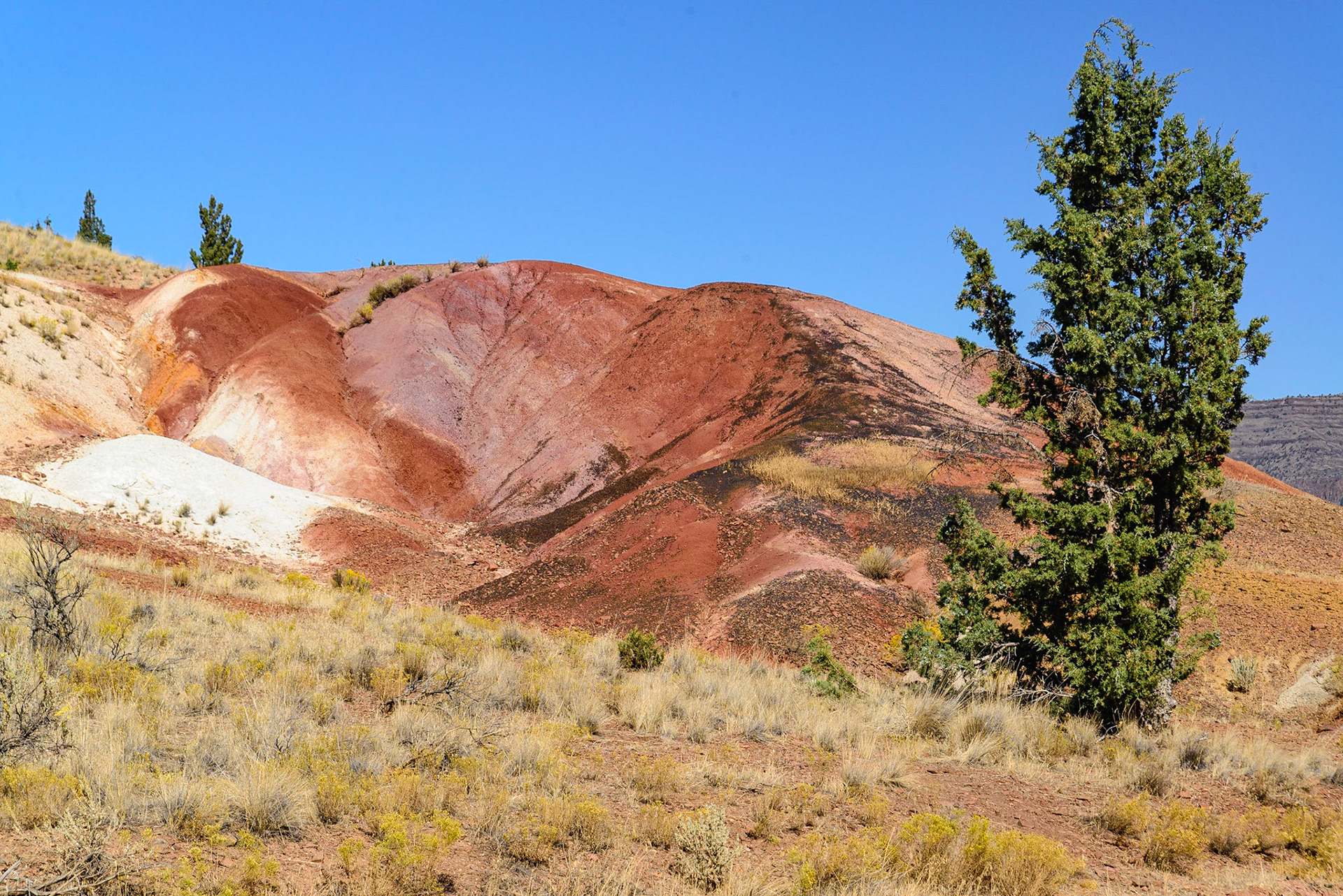 DTGD21341 The Painted Hills, Wheeler County OR.
