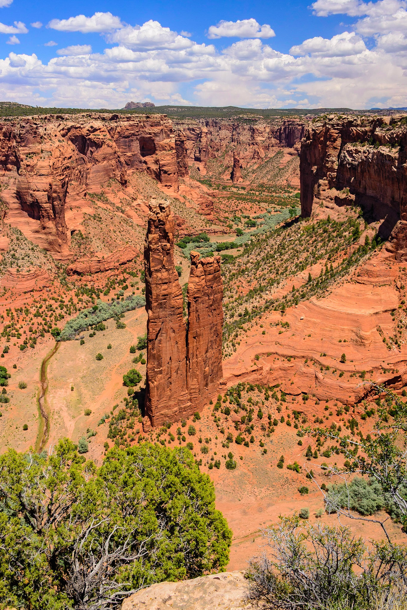 DTGD28936 Canyon de Chelly