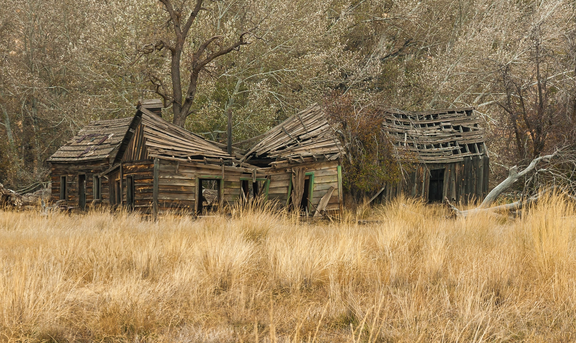 DTGD11222 Johnson Canyon, Gunsmoke Movie Set