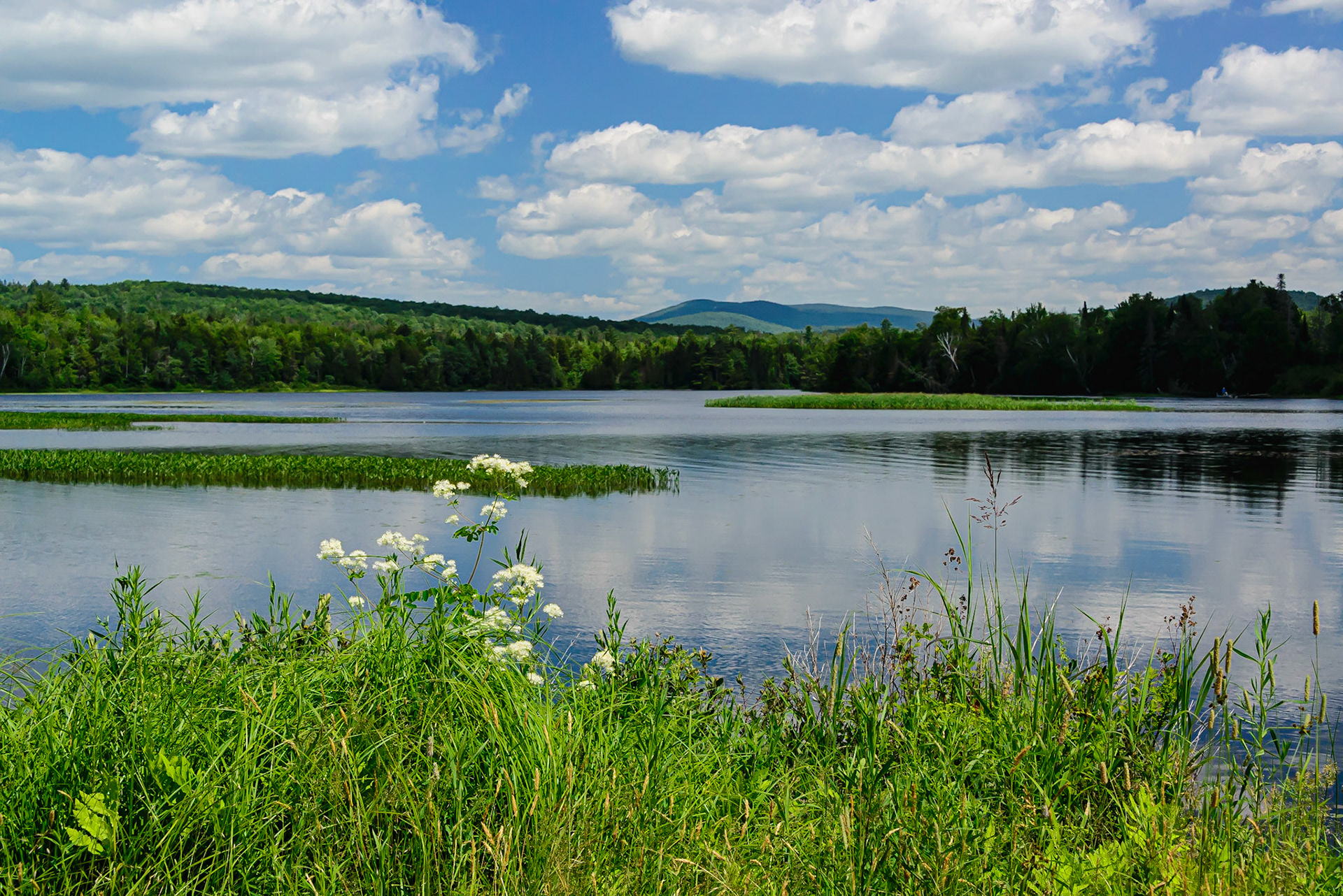 DTGD31195 Androscoggin River, NH