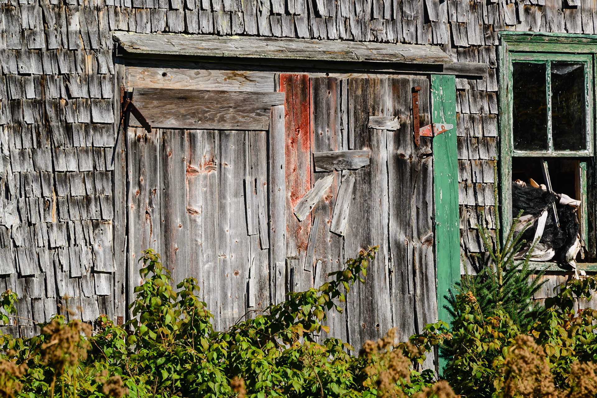 DTGD24791-Old Fishing Shed