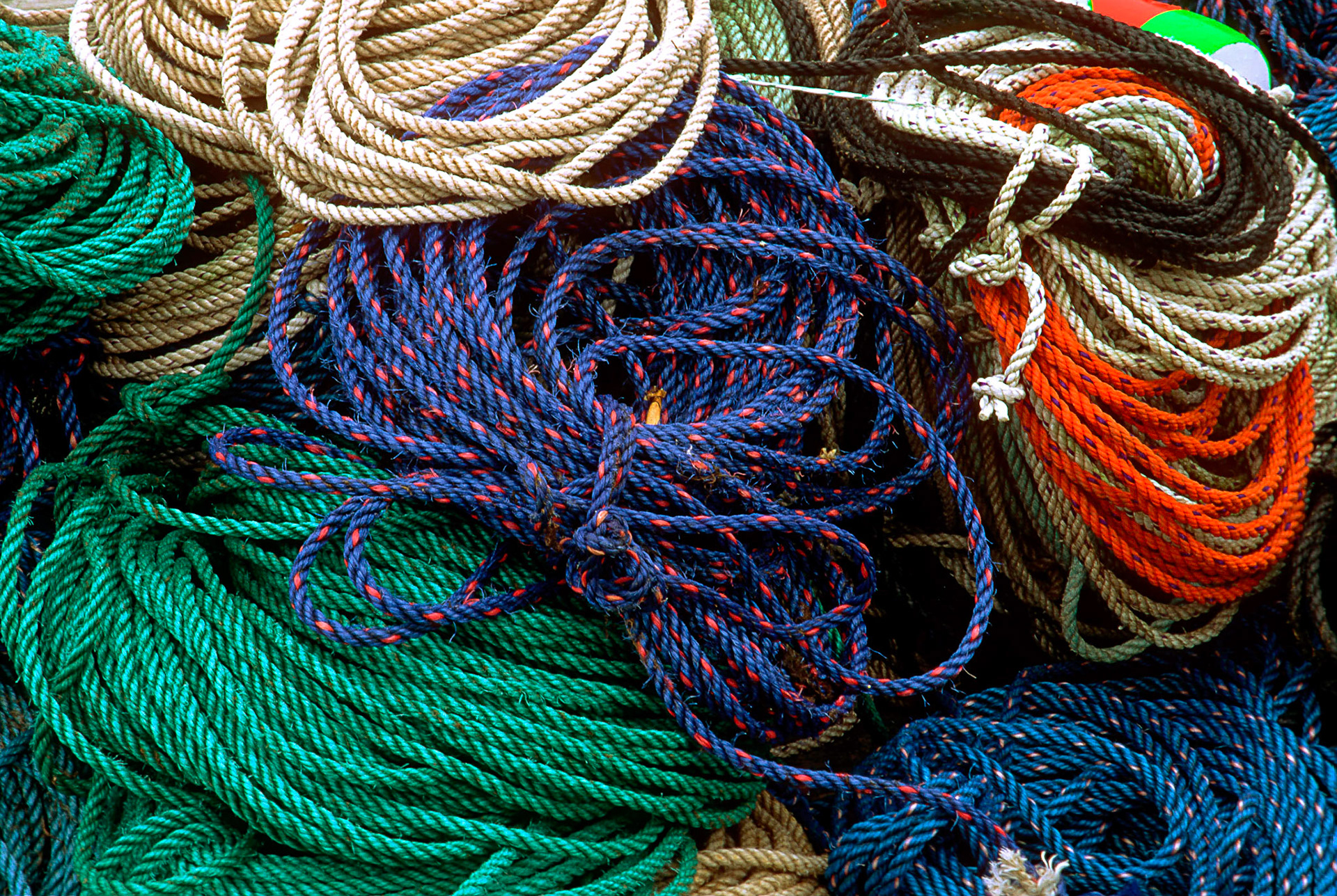 DTG00076 Lobster Men's Ropes 5