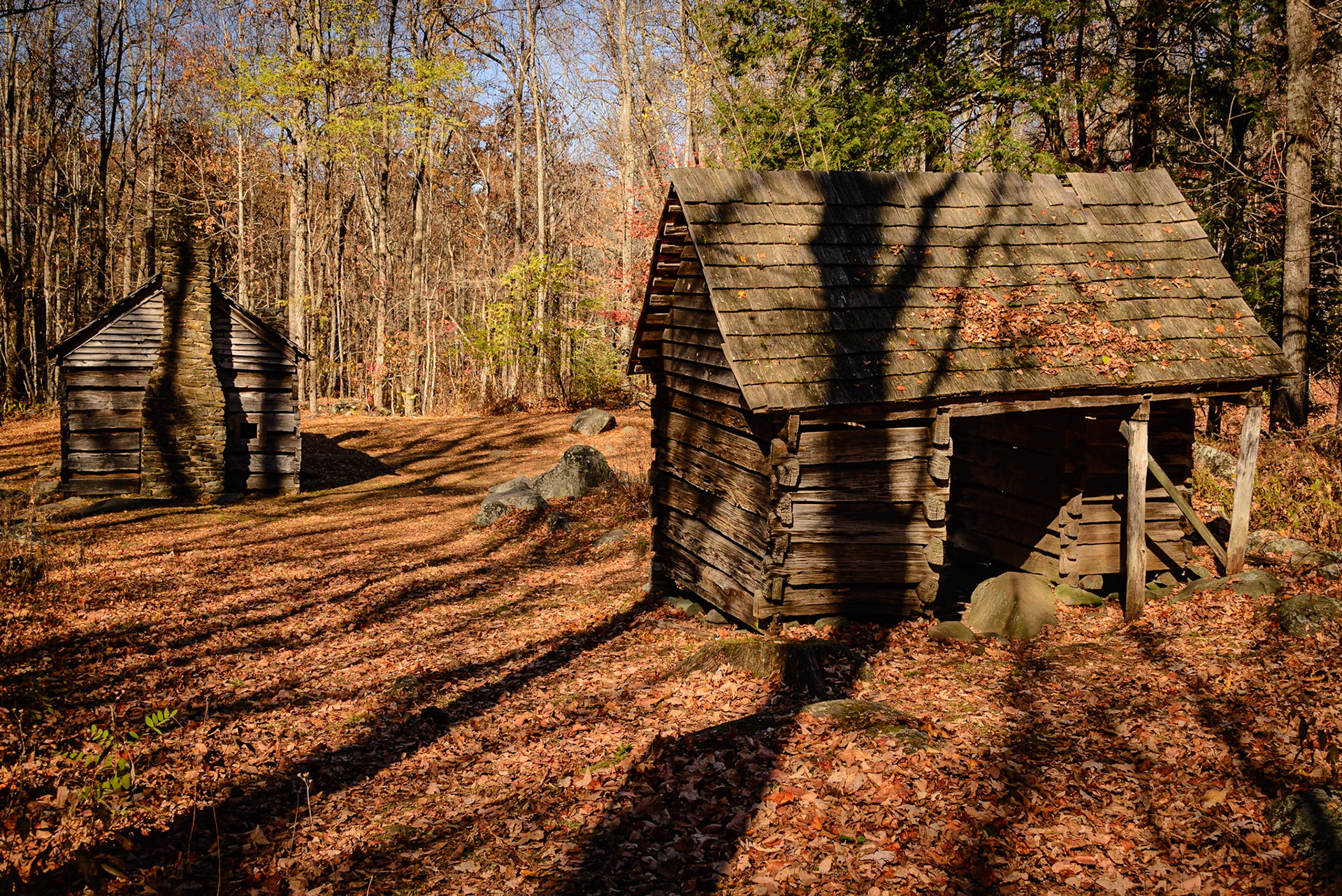 Ephraim Bales Cabin