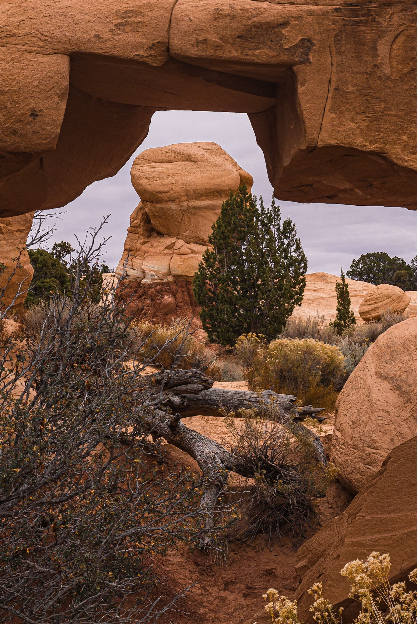 DTGD10421 Mano Arch in Devils Garden off Hole in The Rock Road, Escalante, UT