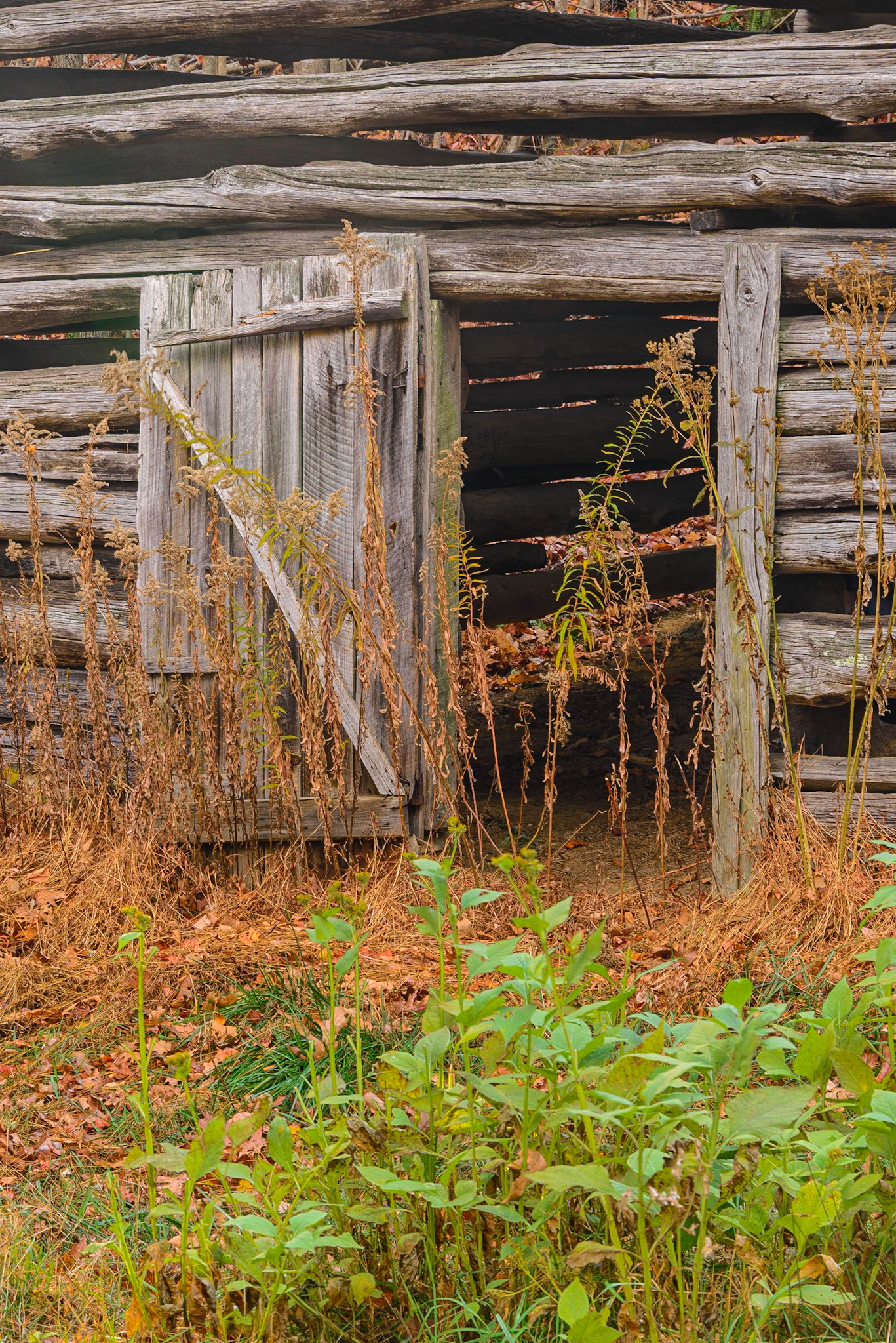 DTGD25652 Old Barn Door