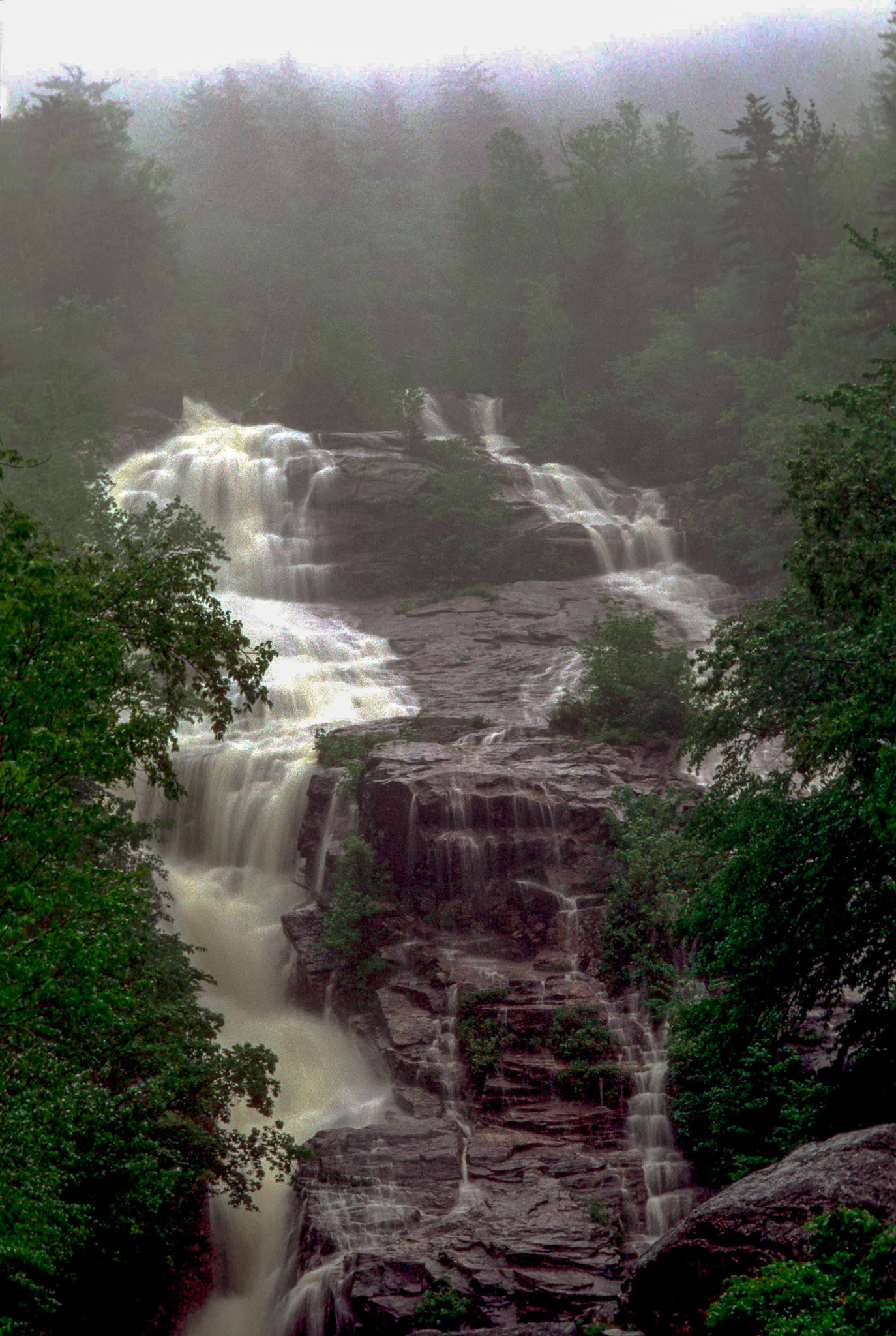 DTG00020 Silver Cascade Falls in Spring Rain
