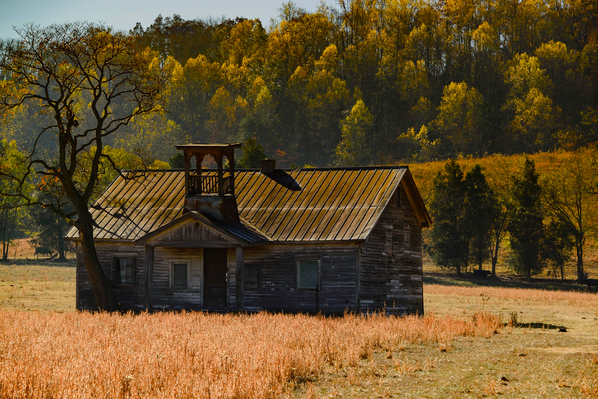 DTGD25300 Old School