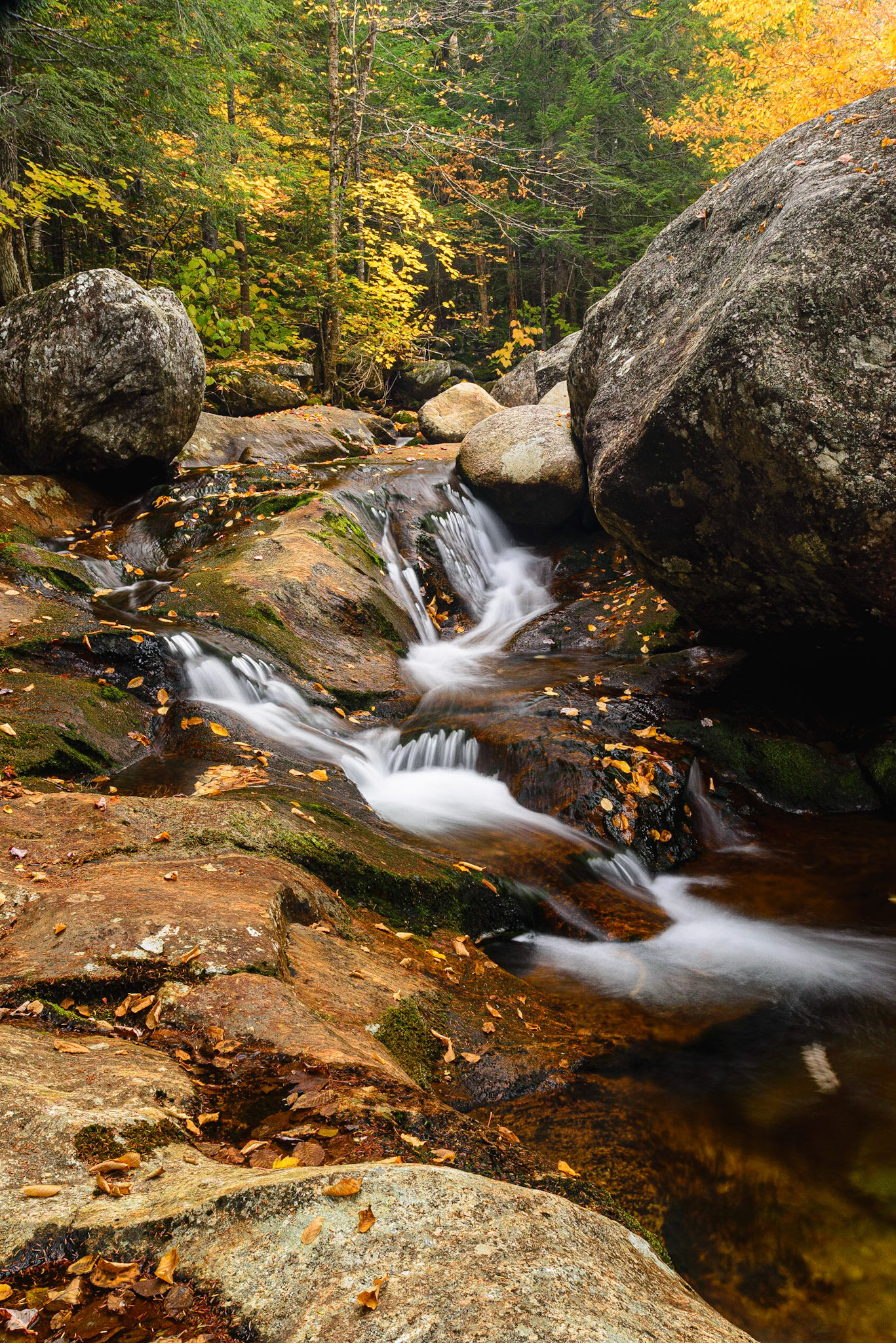 DTGD18418 Nineteen Mile Brook, NH