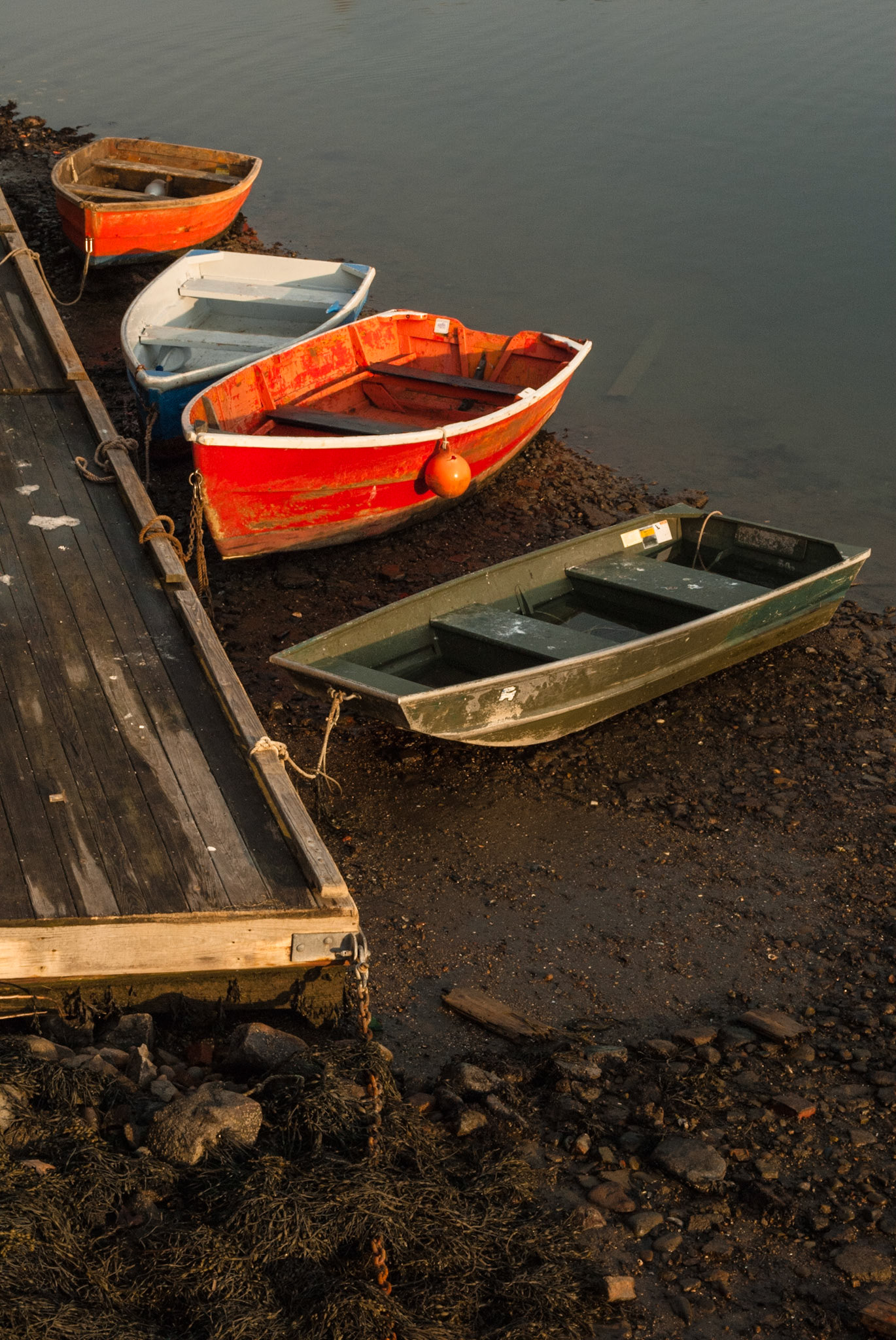 DTGD07077 Rockport Row Boats