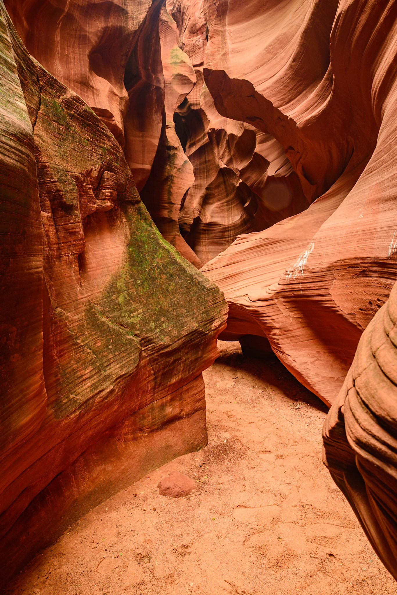 DTGD22694 Secret Canyon