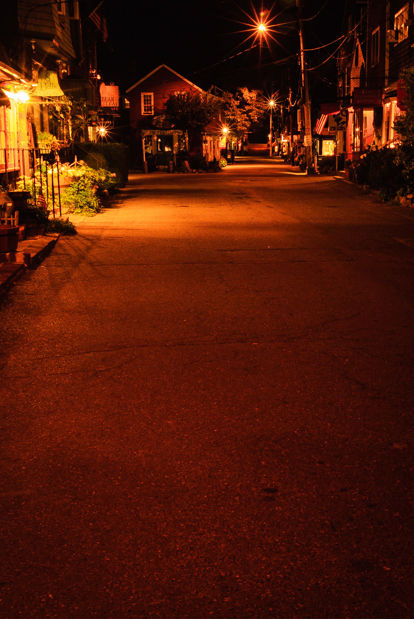 DTGD12351 Bear Skin Neck @ Night