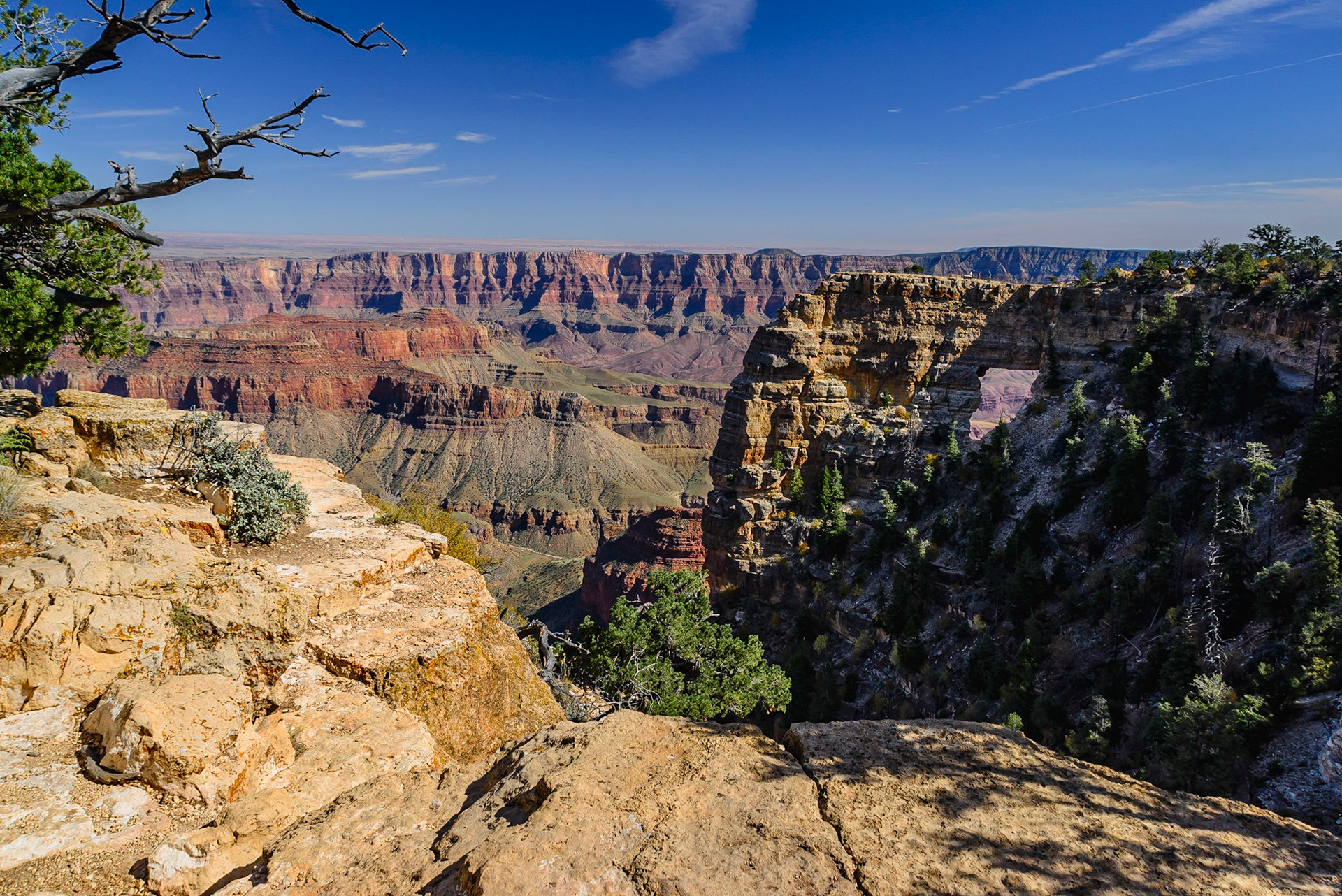 DTGD22406 Grand Canyon, North Rim