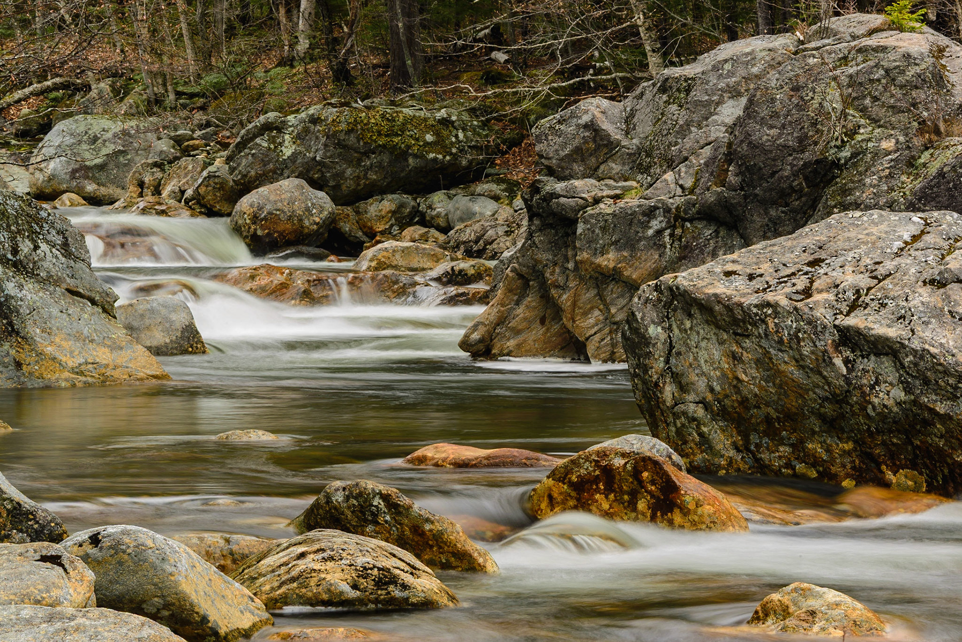 DTGD24019 Ellis River, spring