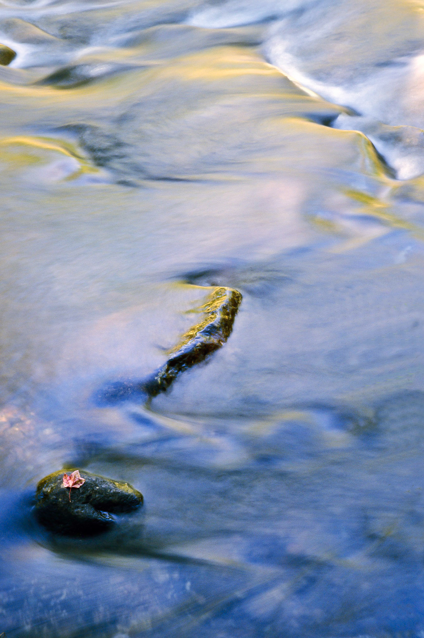 DTG00181 Reflections in Ammonoosuc River