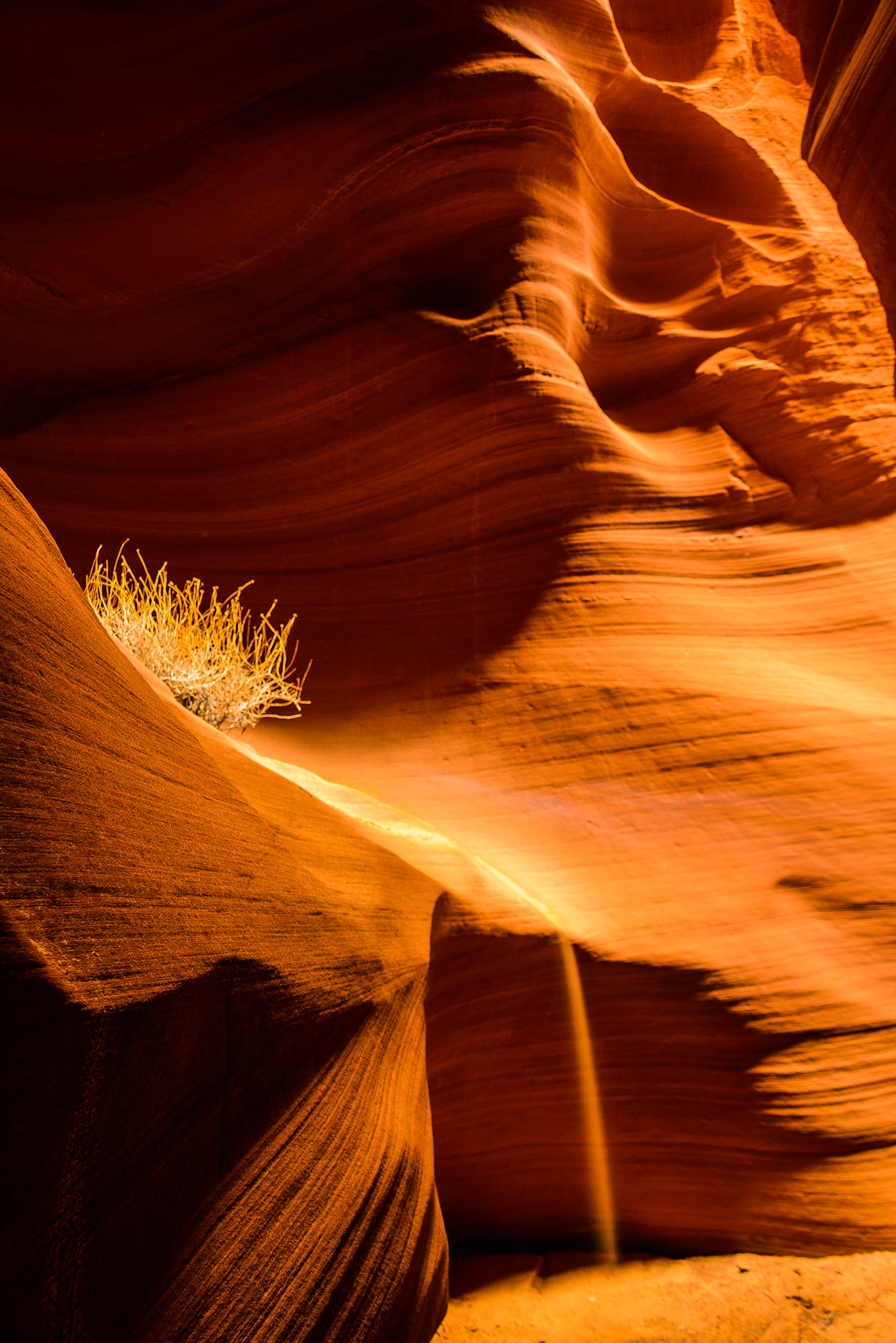 DTGD22637 Secret Canyon