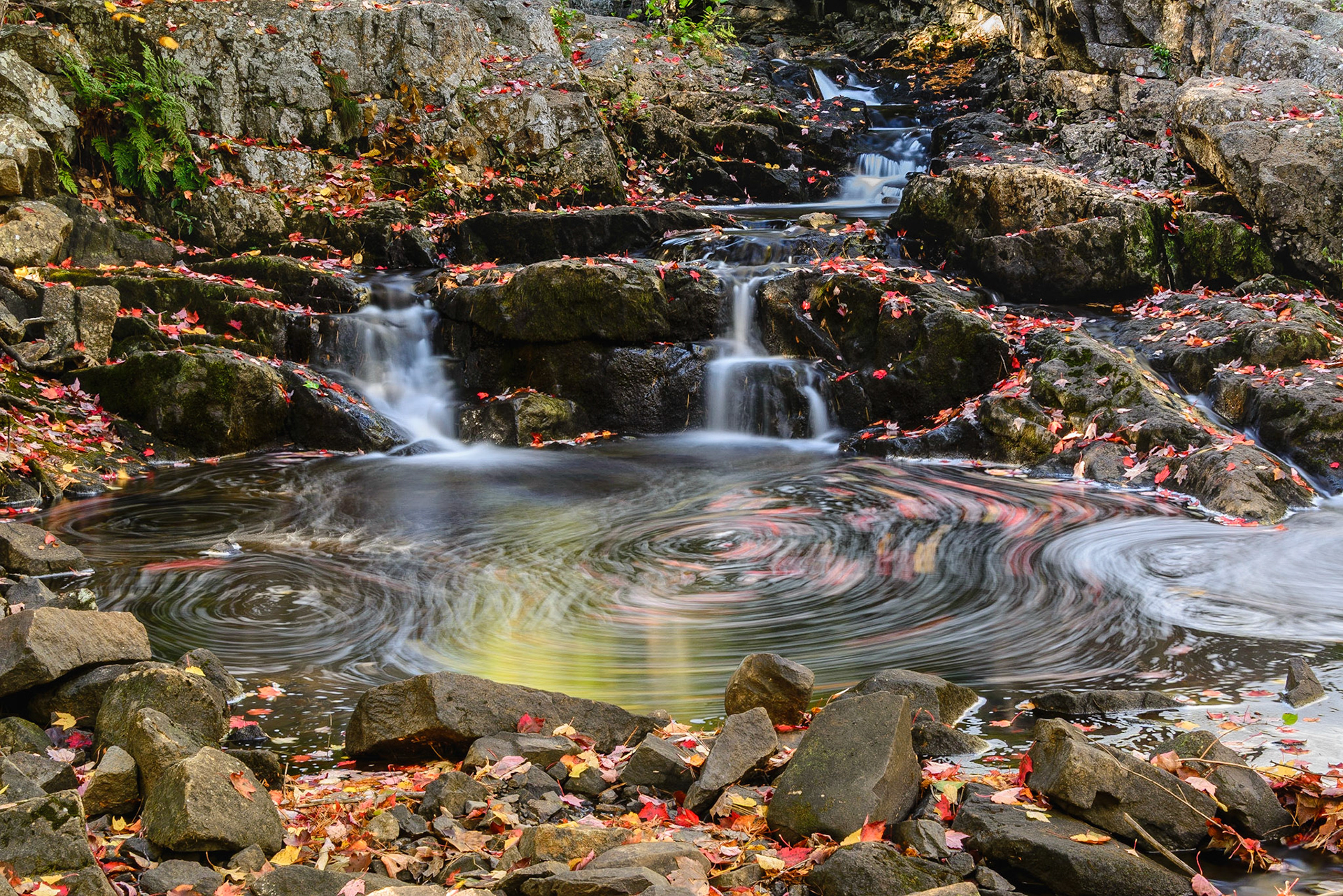 DTGD27010 Duck Brook, ME