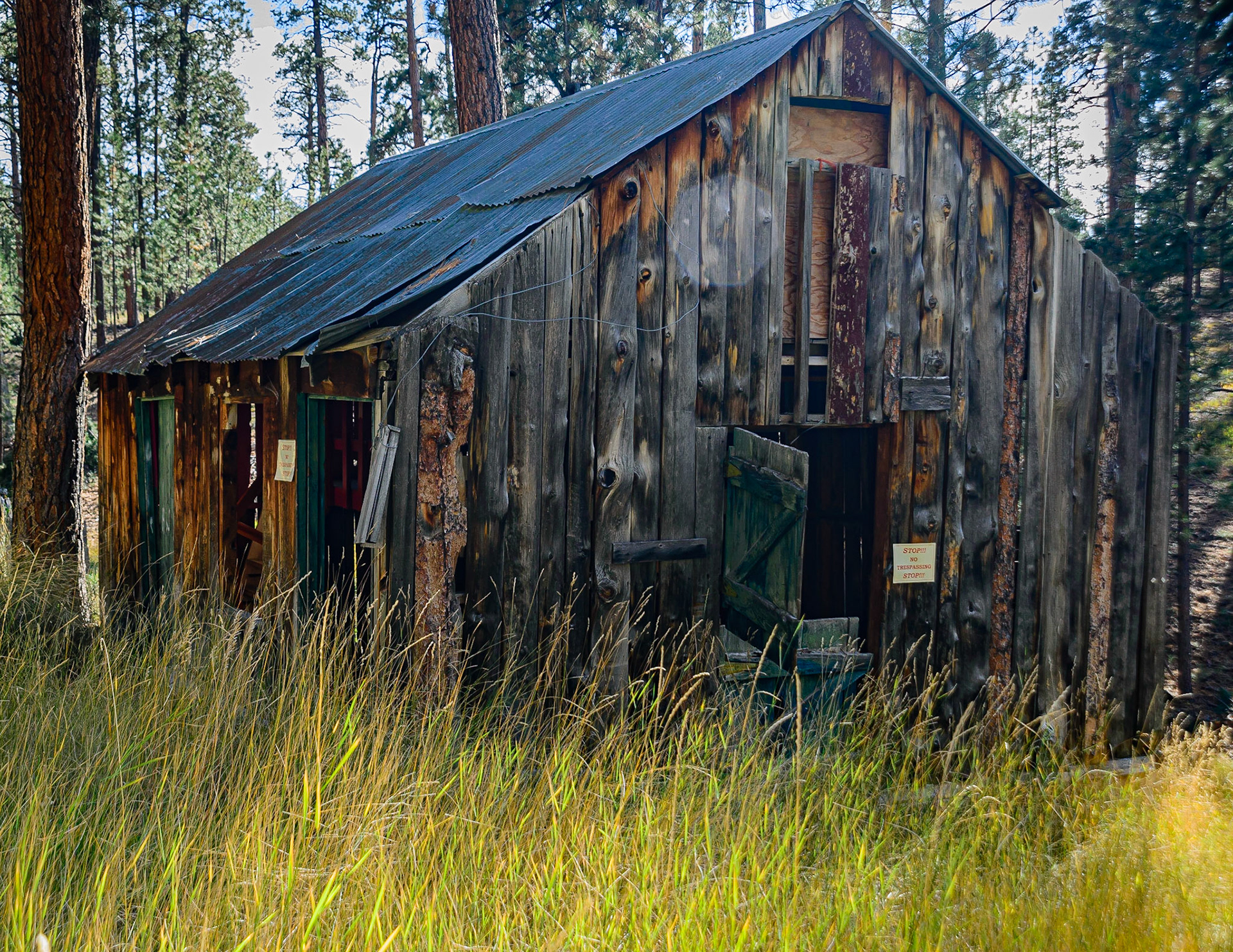 DTGD22481 Old Barn, Jacob Lake, AZ