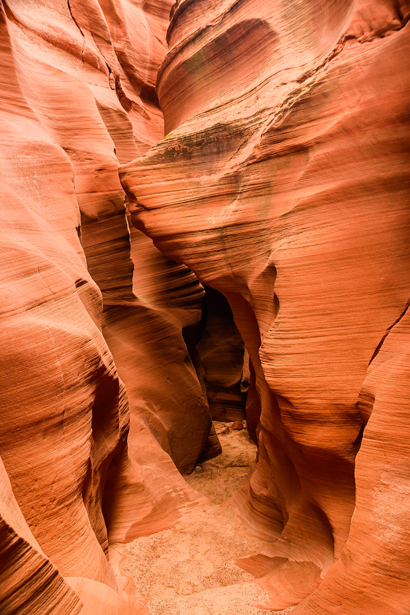 DTGD22596 Secret Canyon