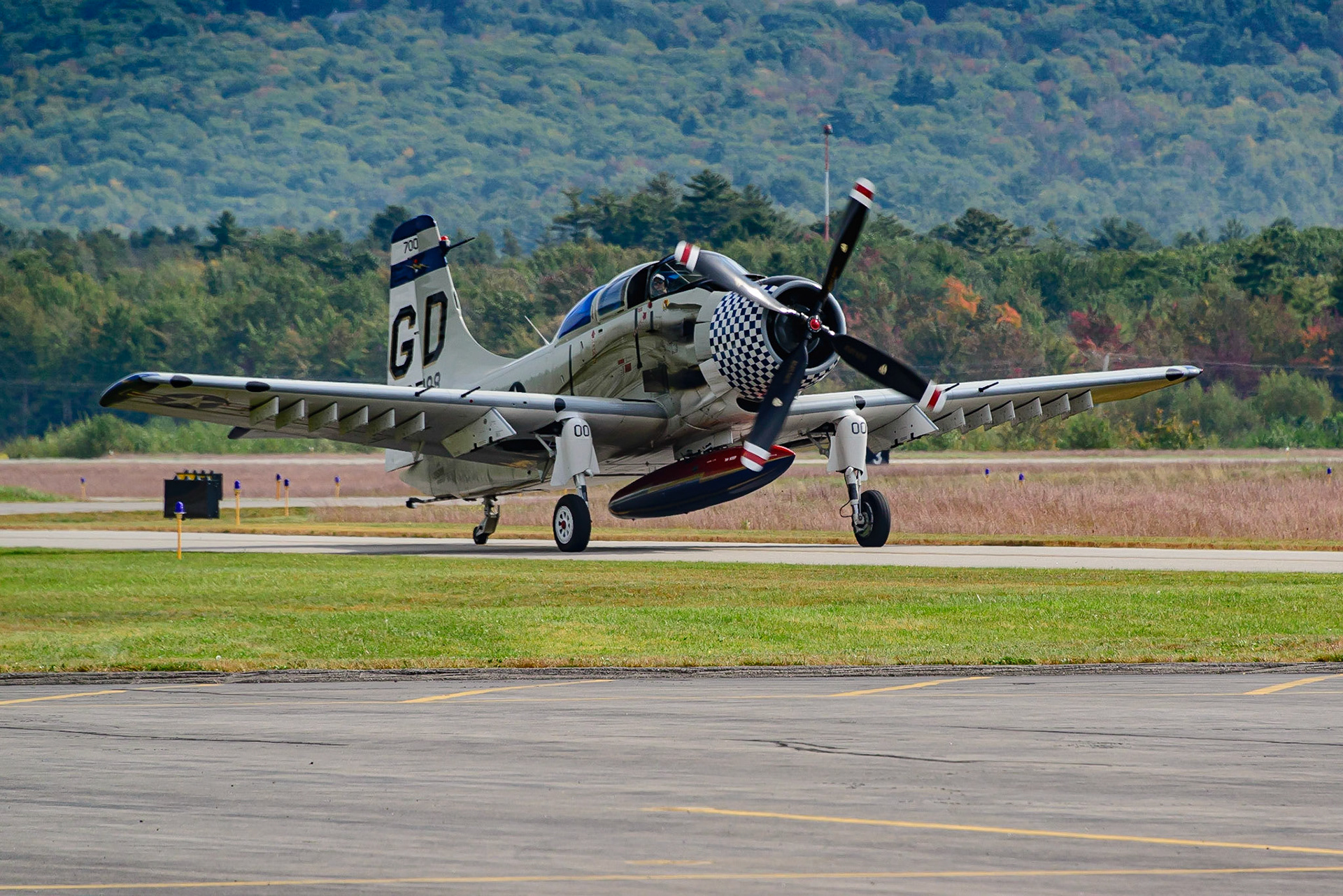 DTGD31420 Wings of Freedom, A-1E Skyraider
