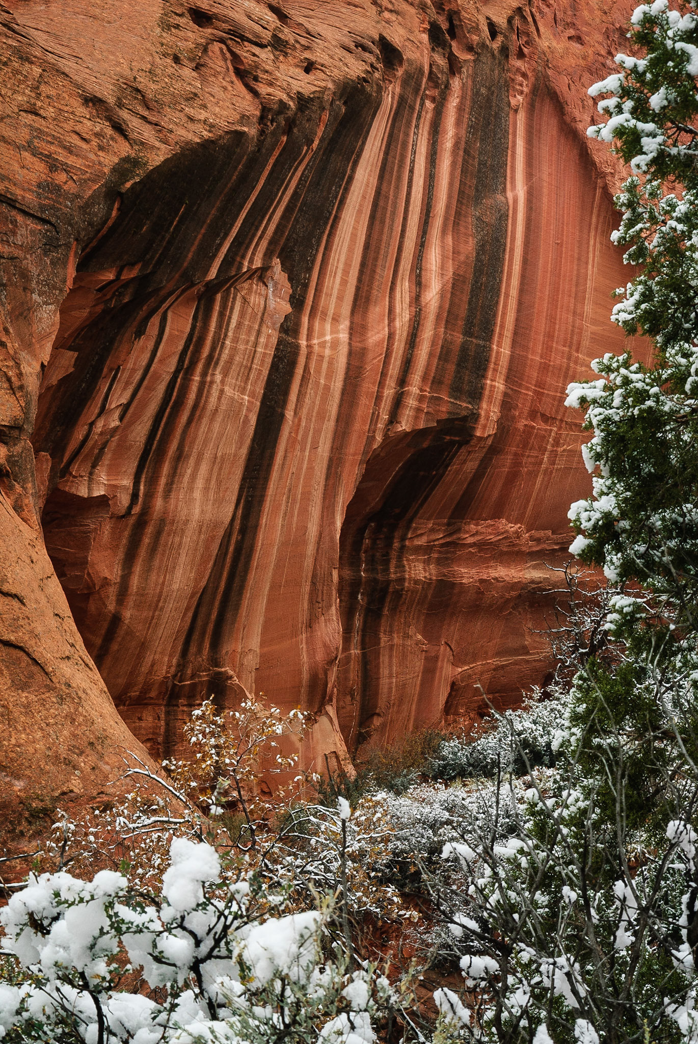 DTGD10480 Rock Formation, Long Canyon, Burr Trail Road, UT