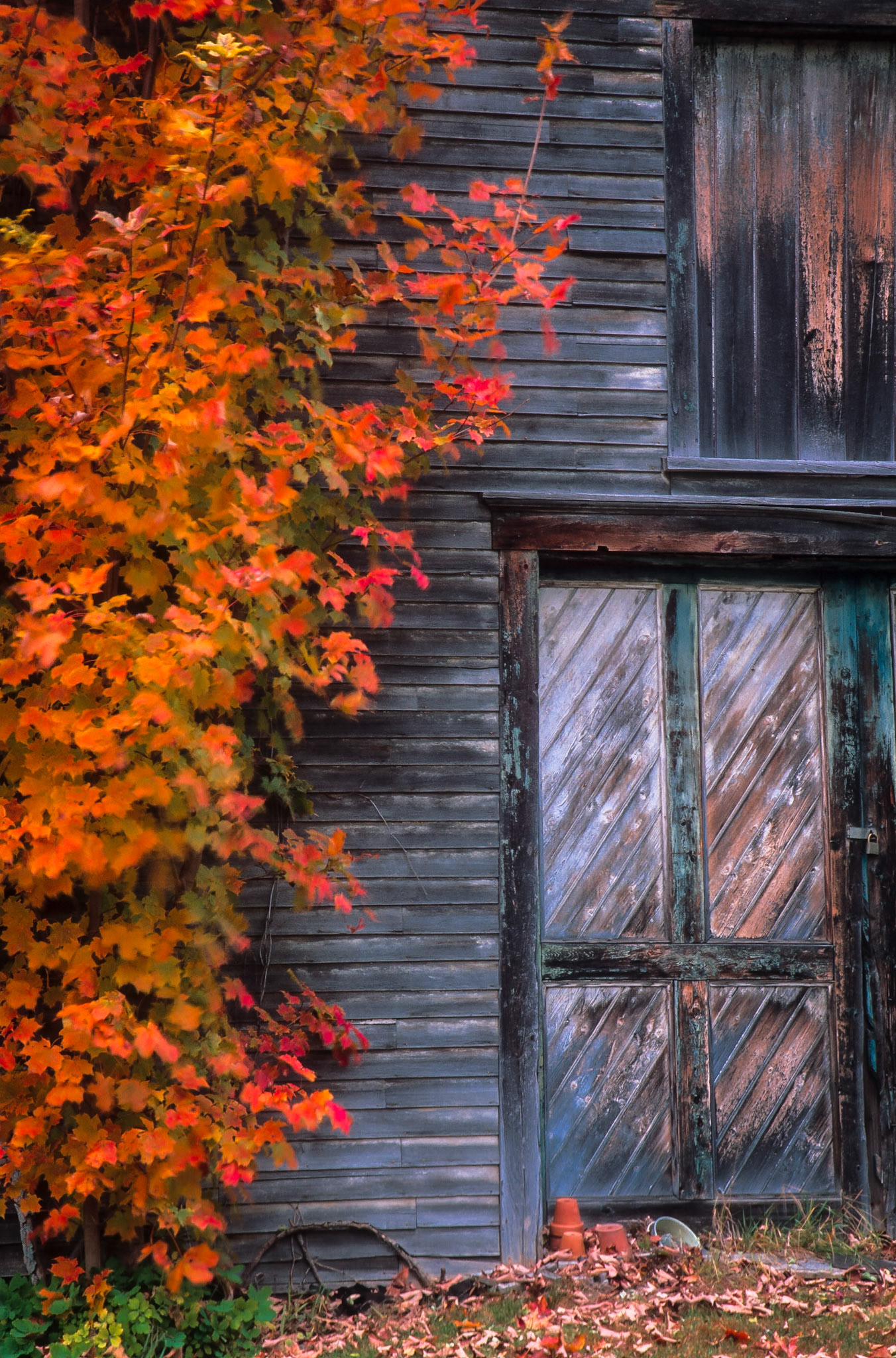 DTG07369 Old Barn &amp; Fall Color
