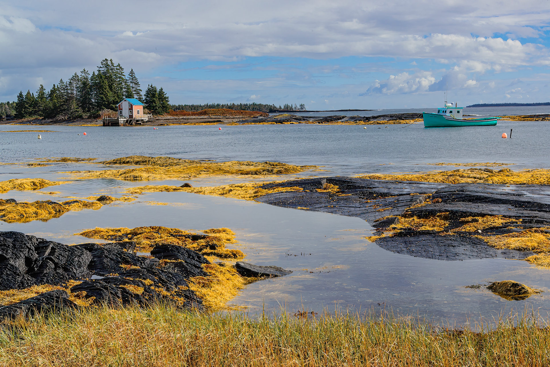 DTGD39216-Blue Rocks