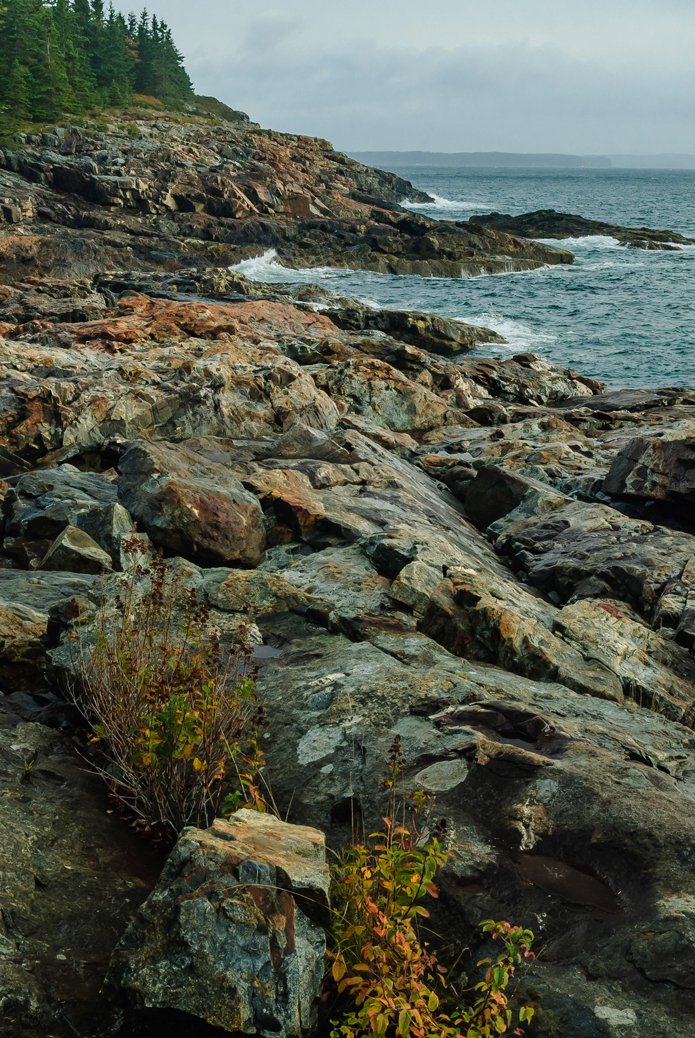DTGD13382 Maine Coast