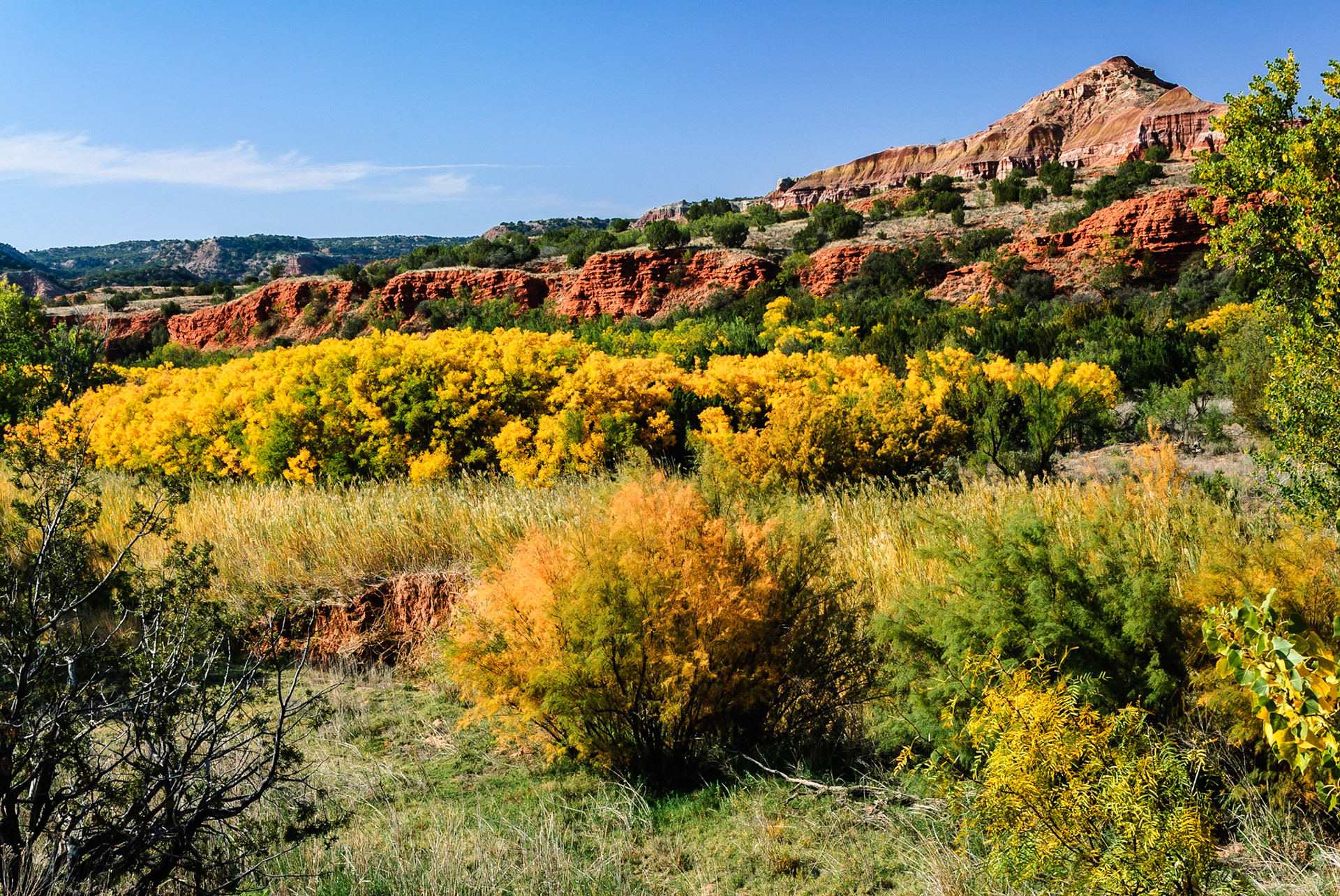 DTGD08800 Palo Duro Canyon