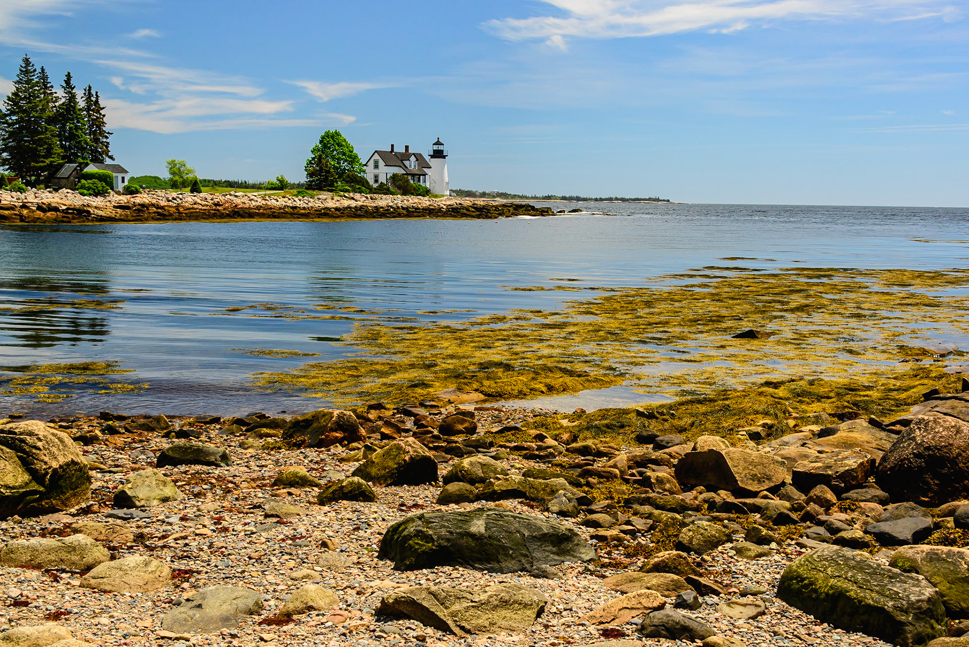 DTGD30960 Prospect Harbor Lighthouse