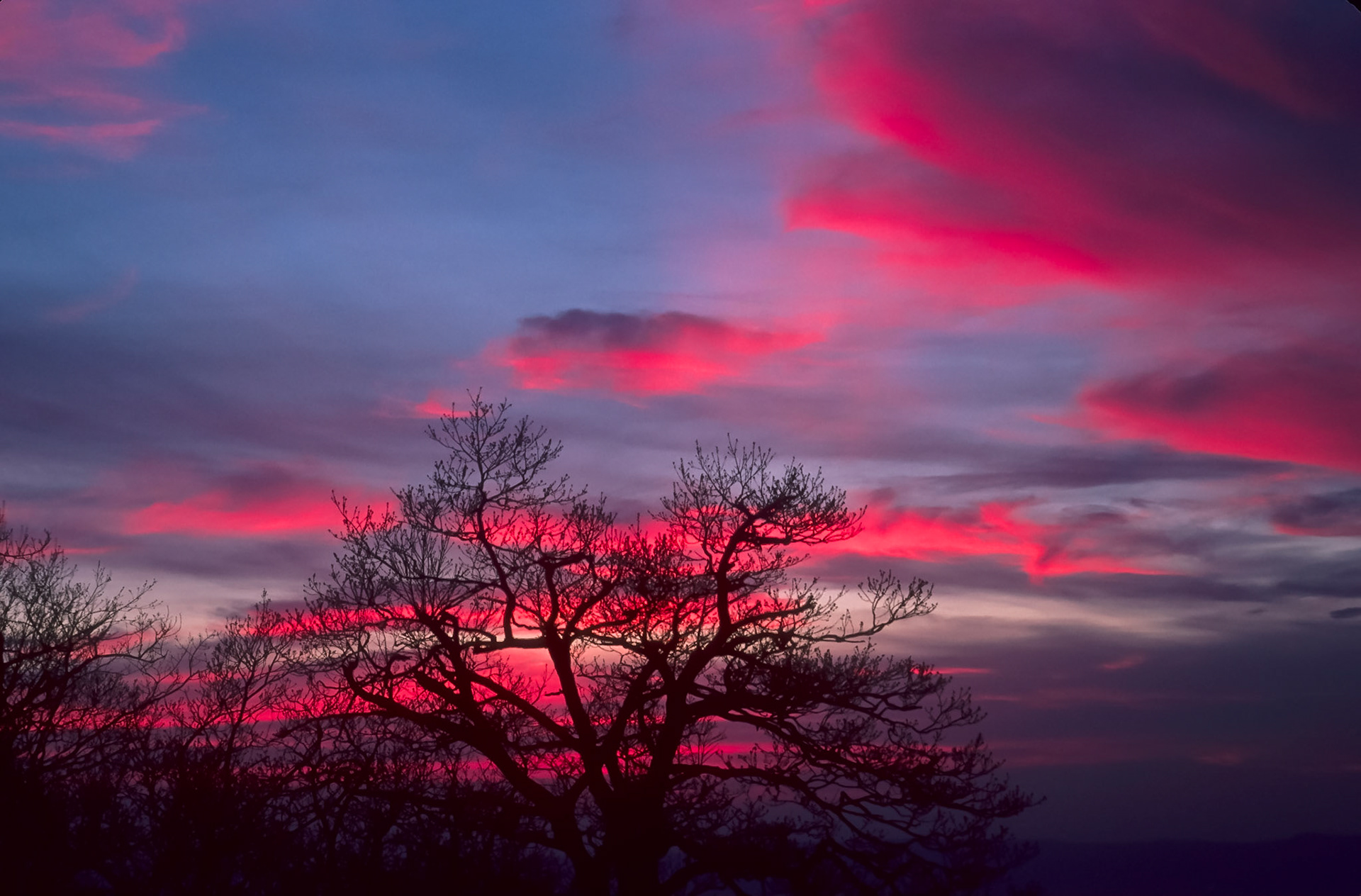 Shenandoah Sunrise