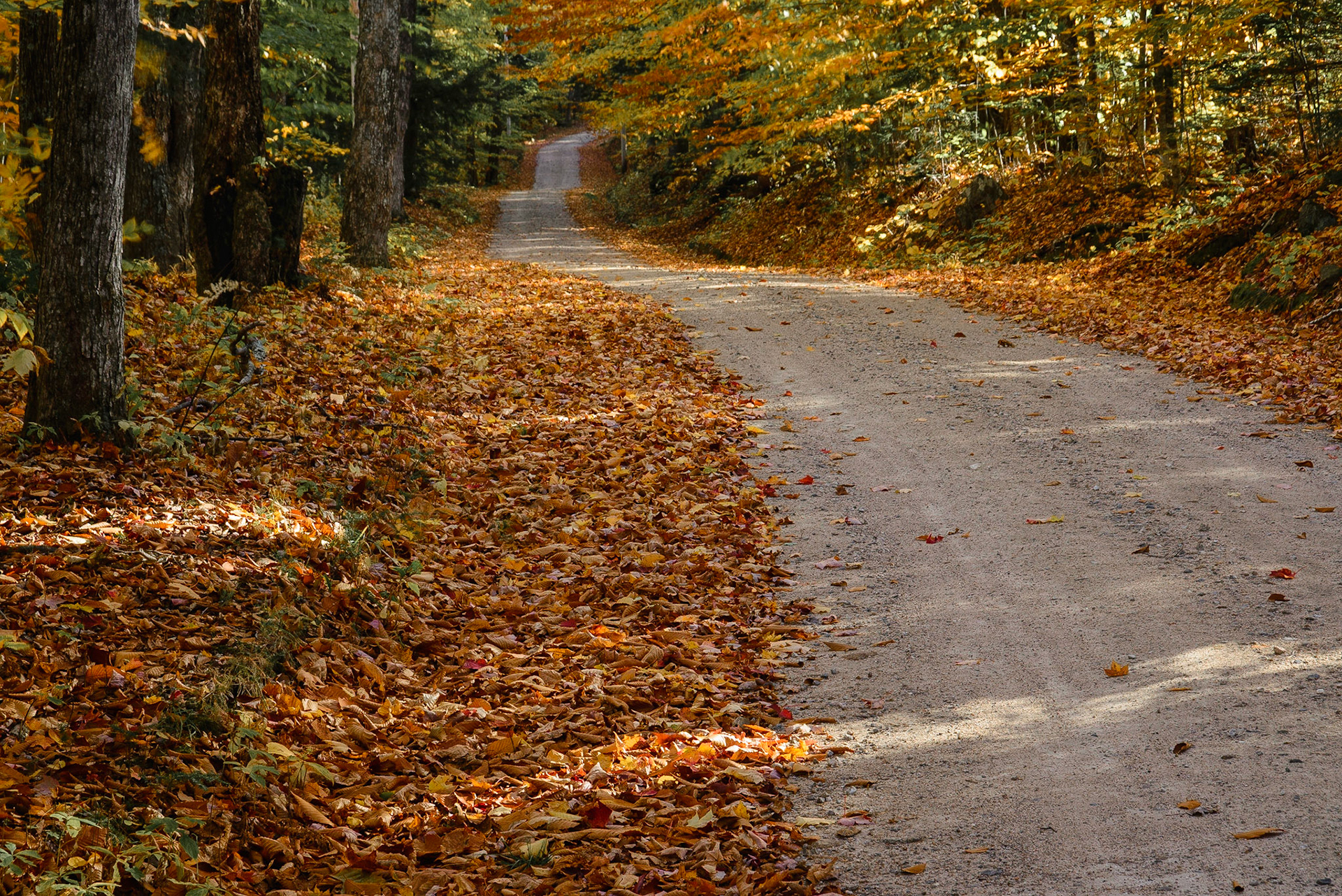 DTGD19086 Fall on Hemenway Road