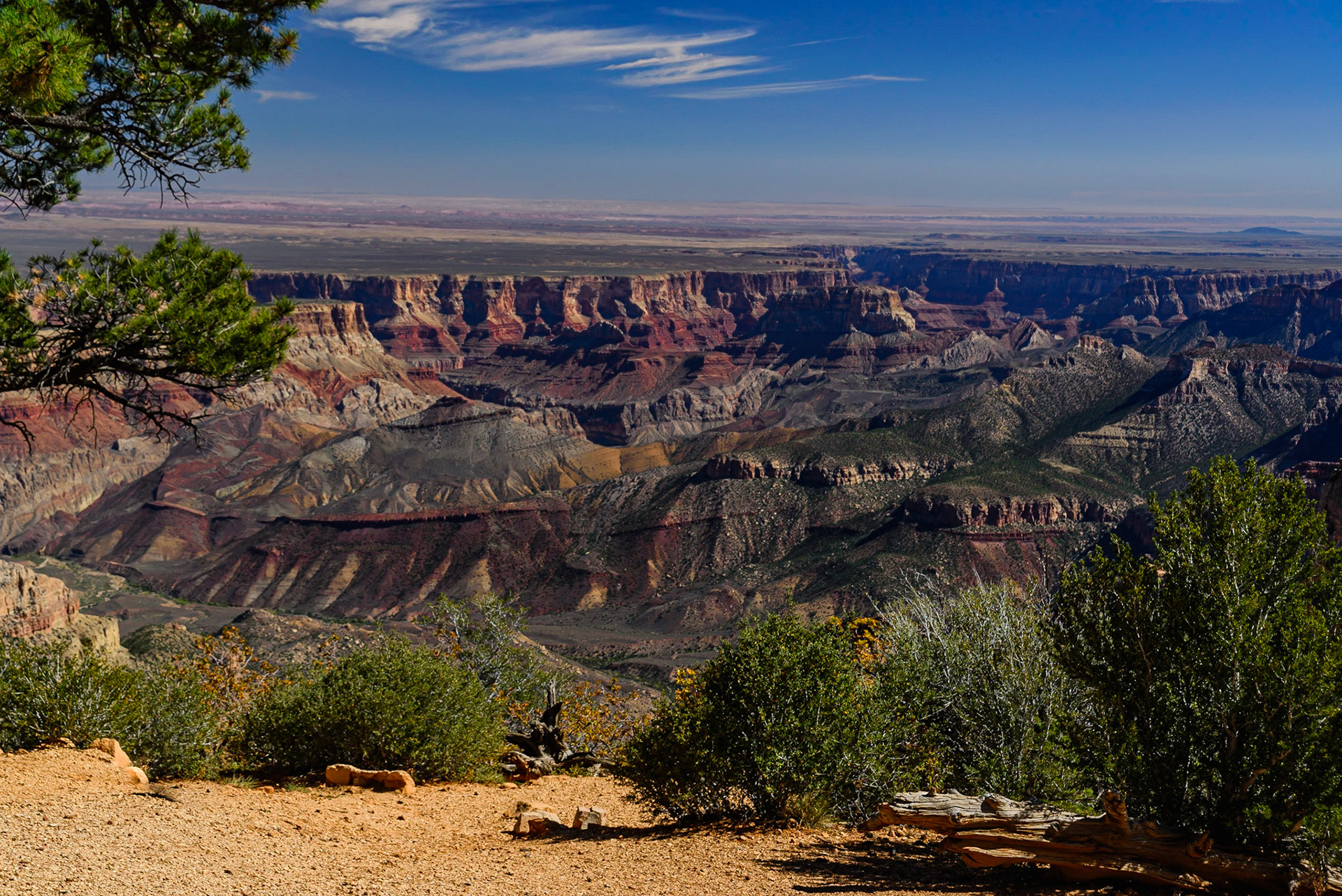 DTGD22397 Grand Canyon, North Rim